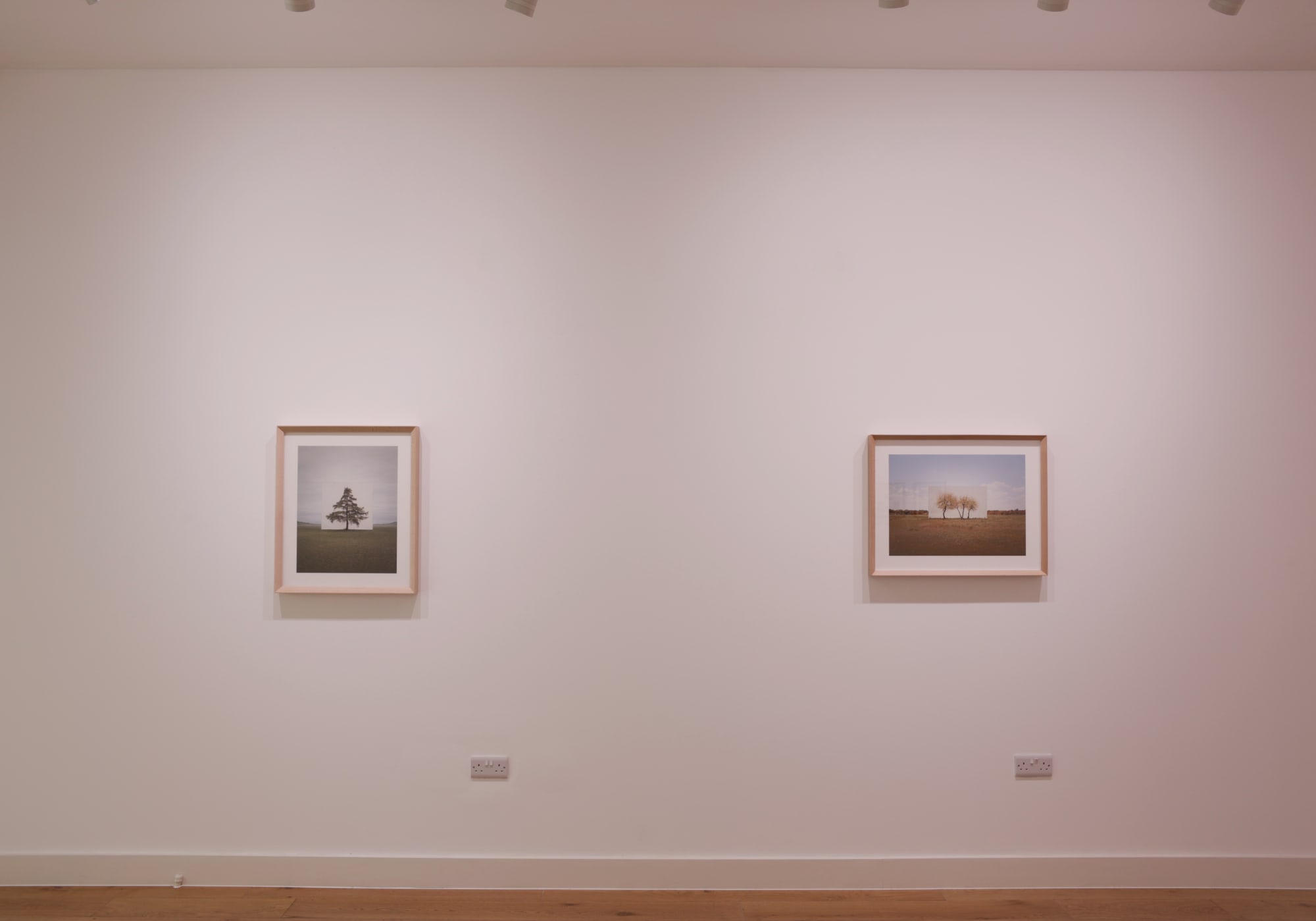 LEE MYOUNG HO: (NO)THING