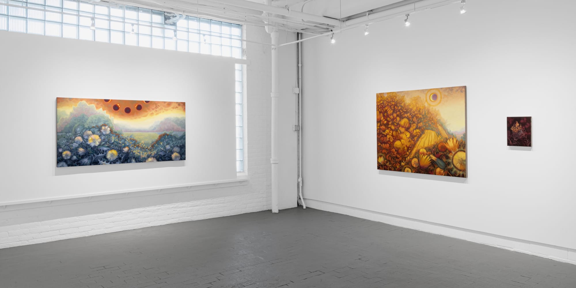 Installation images courtesy of Field Studio Photography