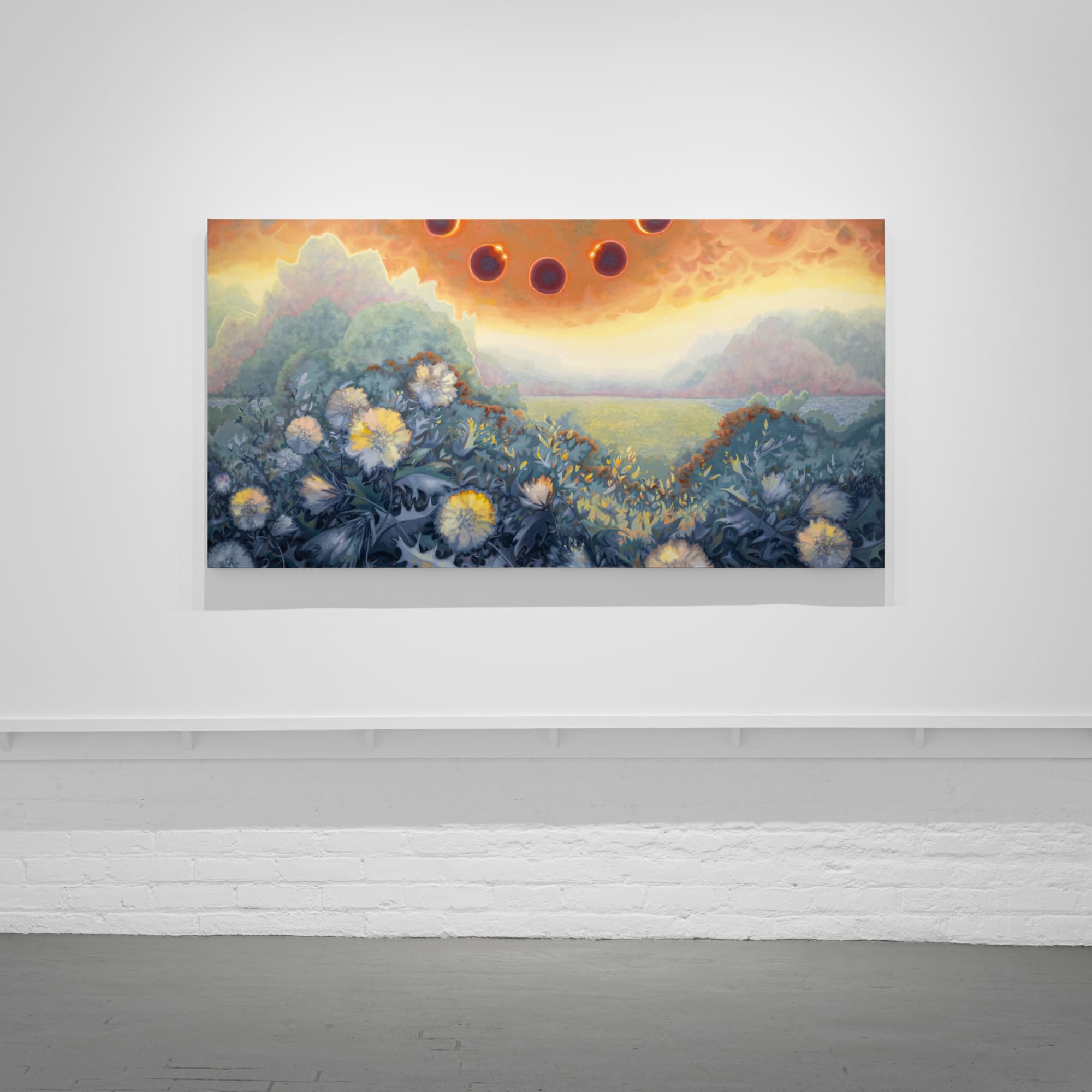 Installation images courtesy of Field Studio Photography