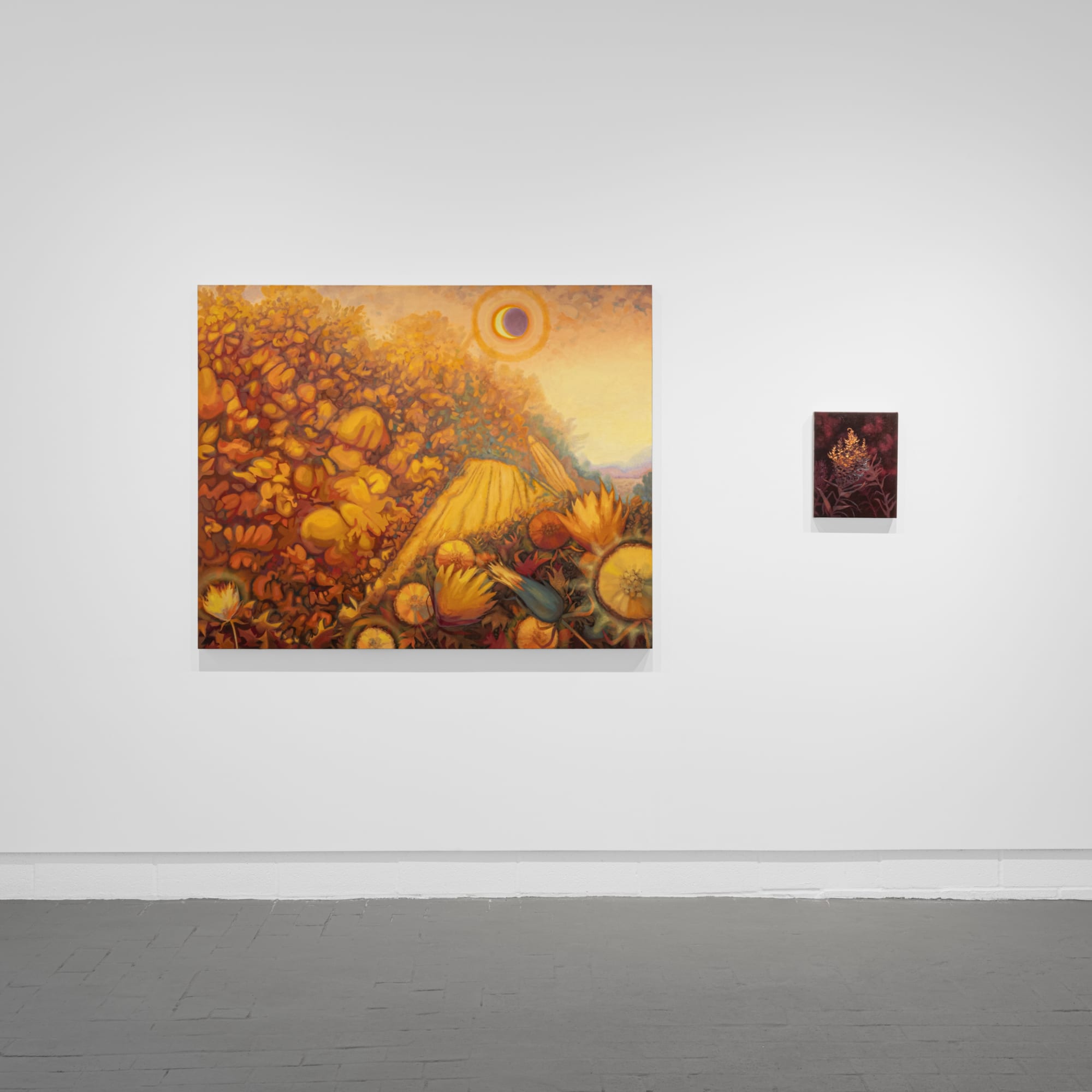 Installation images courtesy of Field Studio Photography