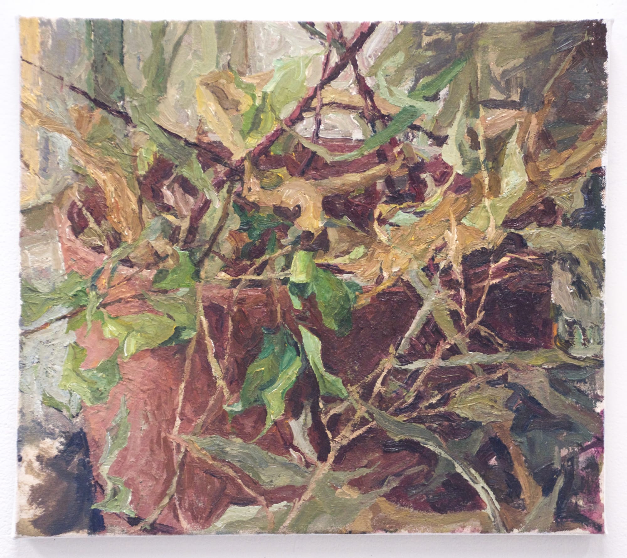 Hannah Steele Tangle, 2023 Oil on canvas 14h x 16w in
