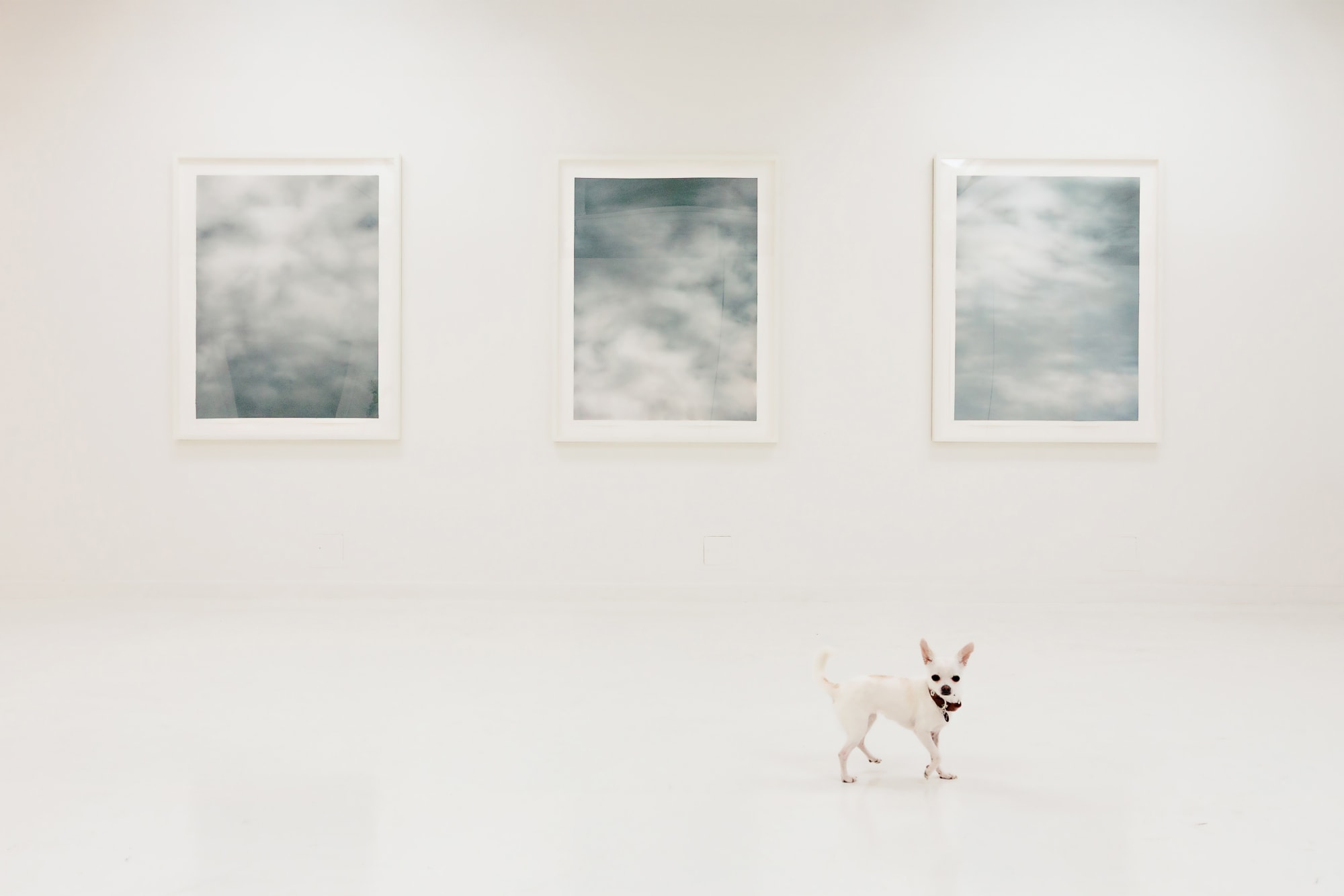 Vestige: Gale Antokal + Catherine Ko Chen