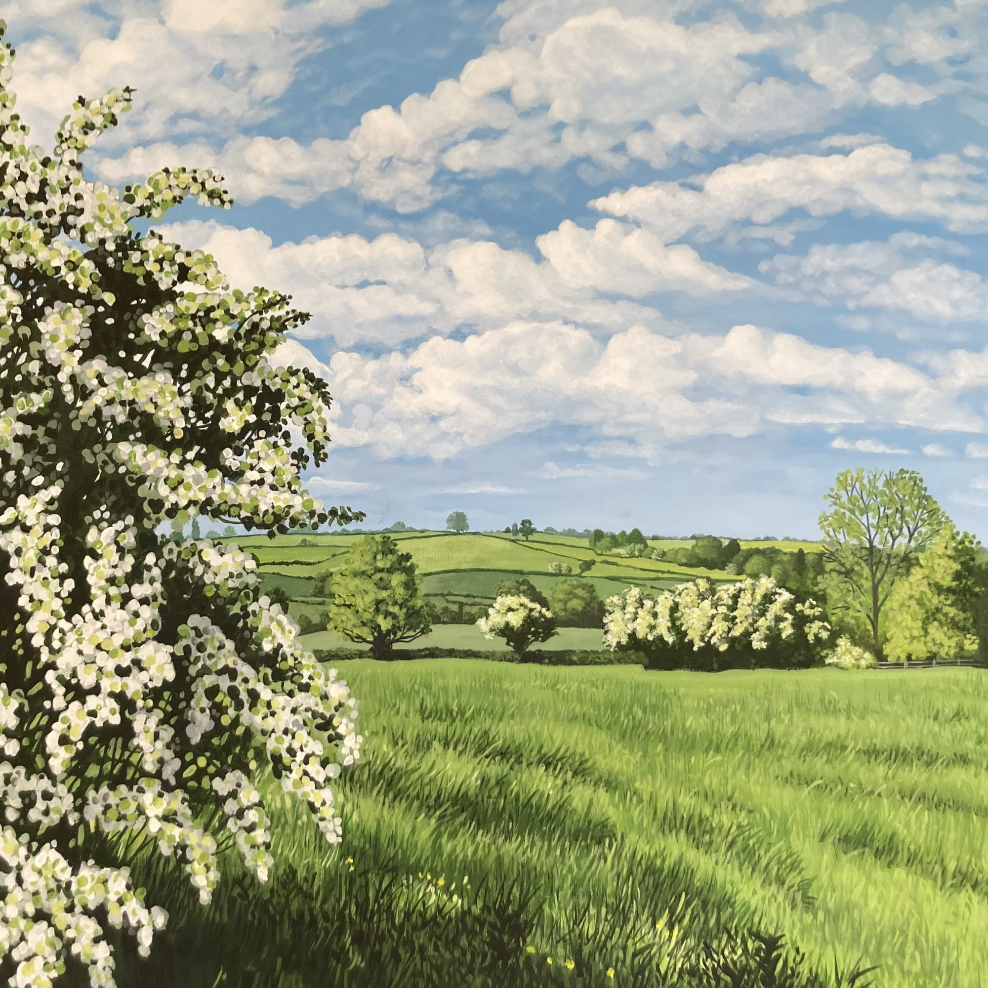 Time Flies By 60 x 60 cms