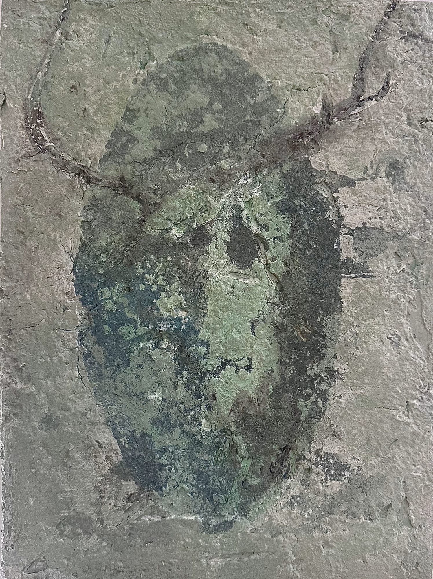 Karo Atanassov, Inner Power, 2025