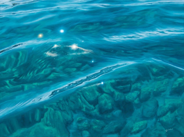 Delphinus oil on canvas 36 x 48 inches