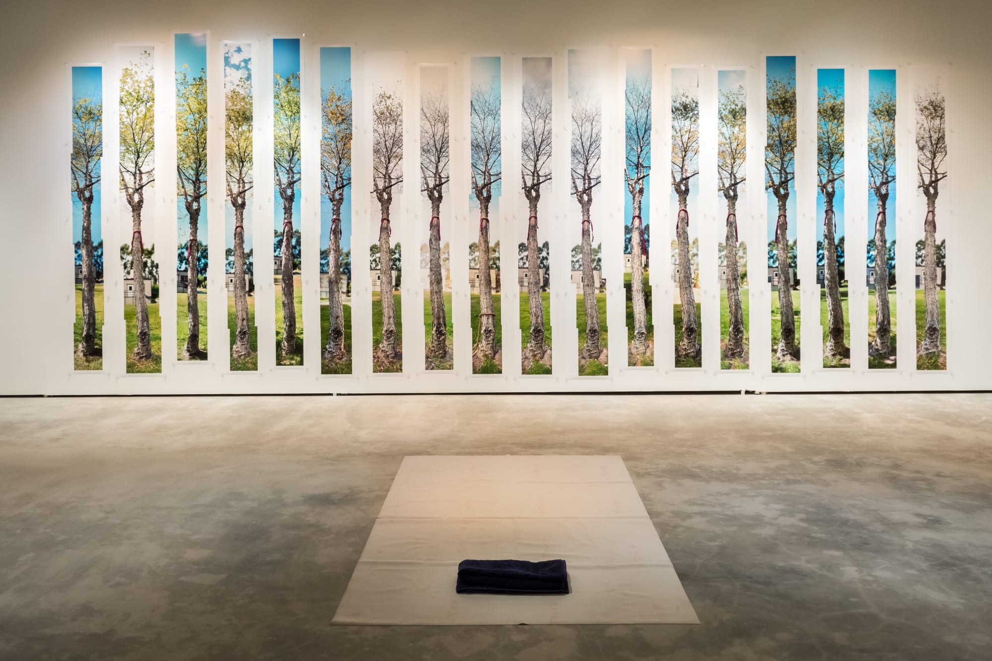 Two Trees and a Mountain