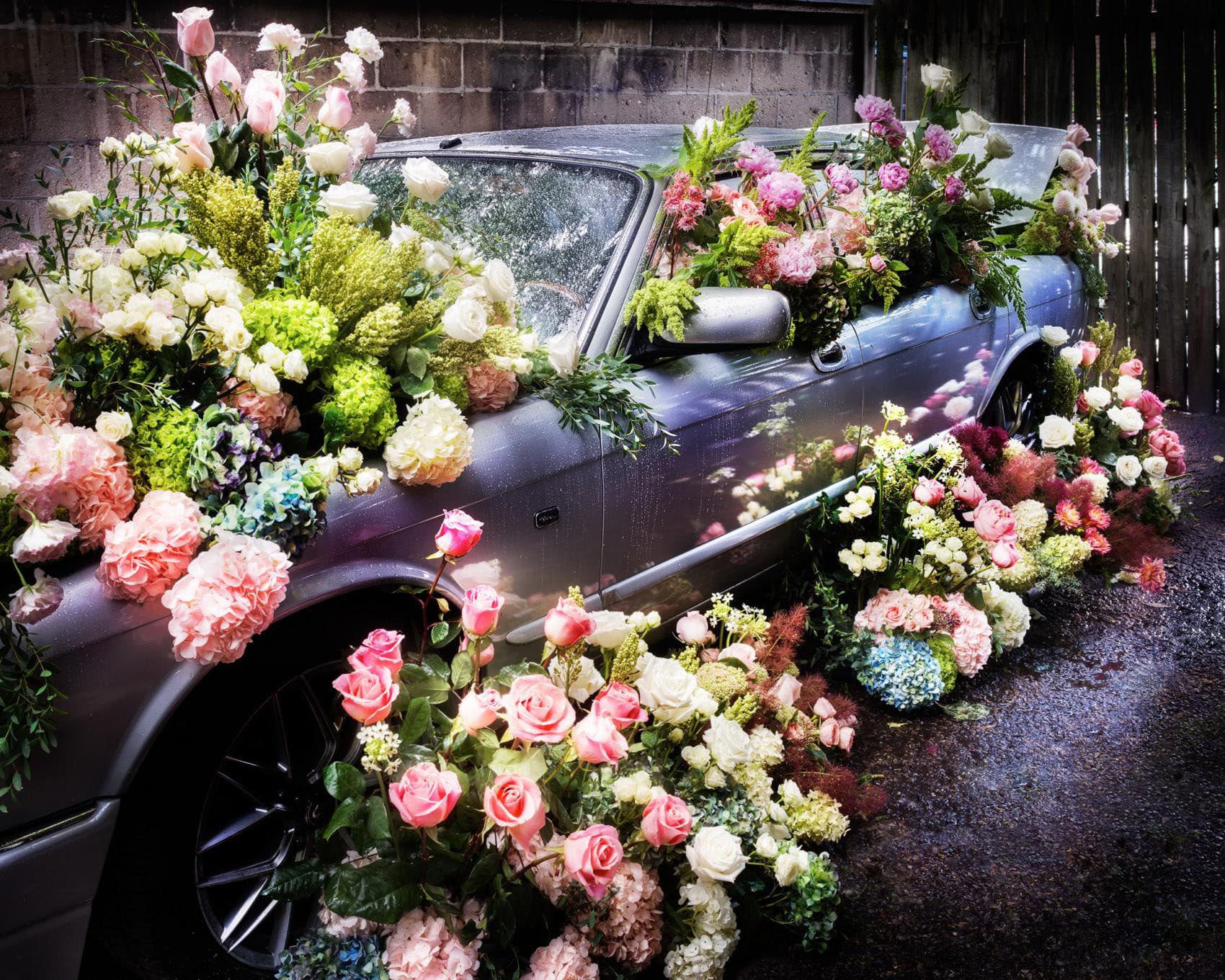 Drive Me Wild, 2025 30 x 40 in., Ed. 10 48 x 60 in., Ed. 7