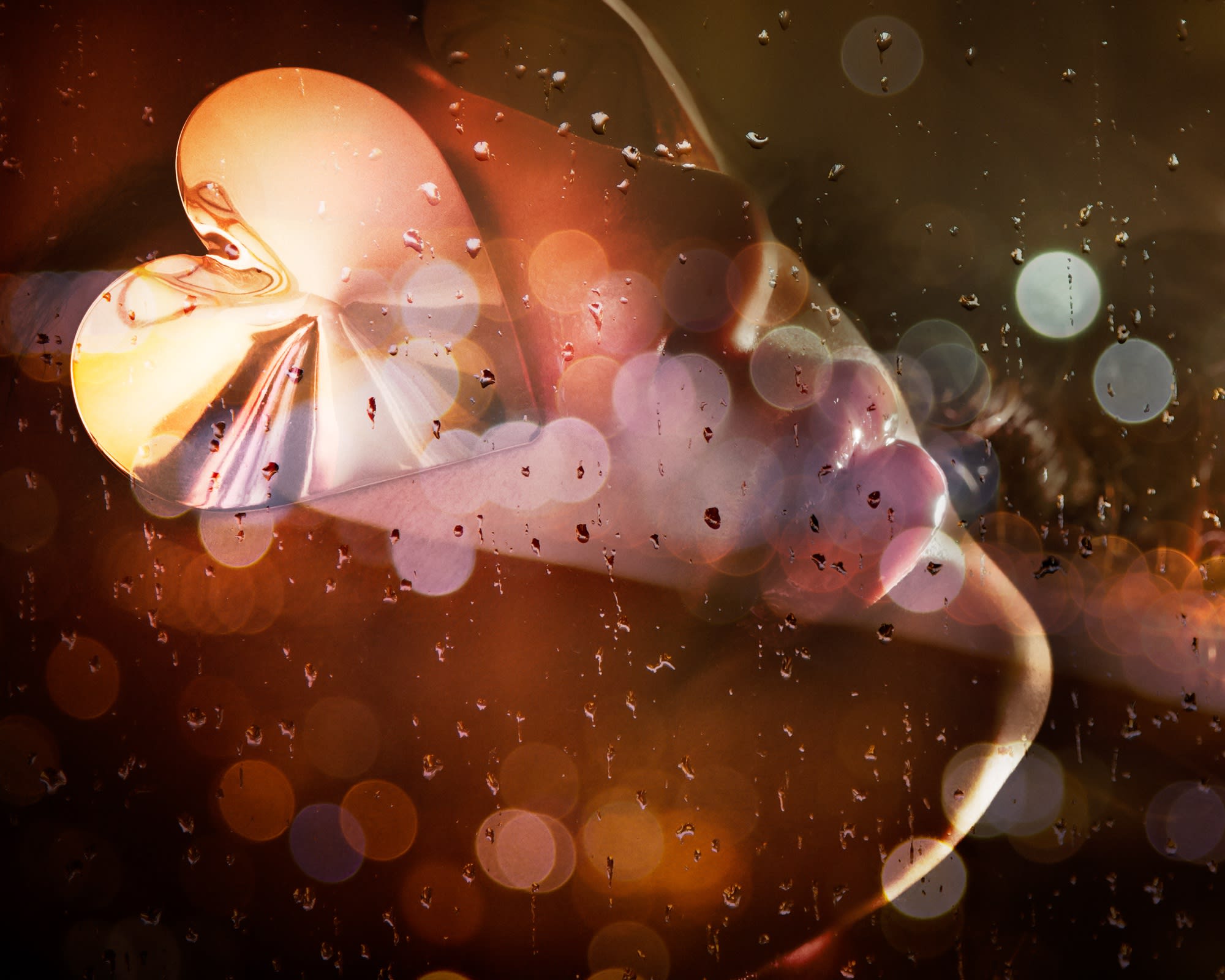 Hidden Sparkle, 2024 30 x 40 in., Ed. 10 48 x 60 in., Ed. 7 & 3AP