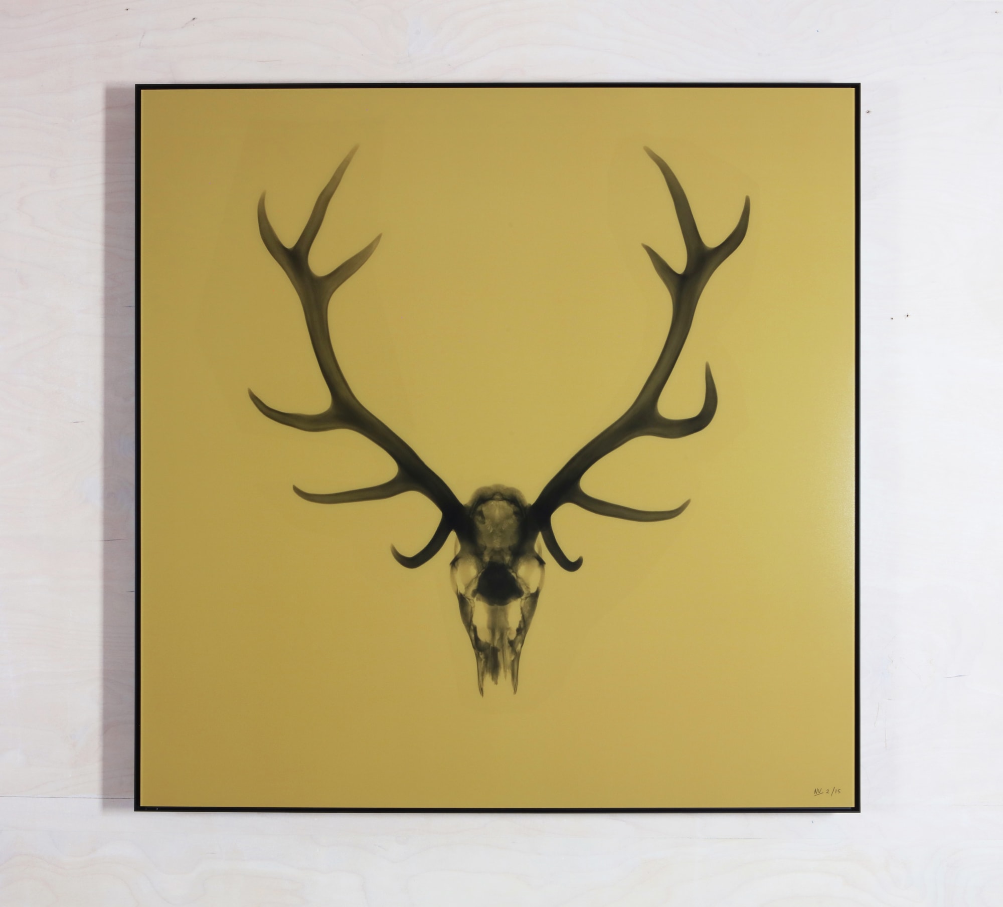 Antlers Gold, 2021 23 x 23 in., Ed. 25 33 x 33 in., Ed. 15