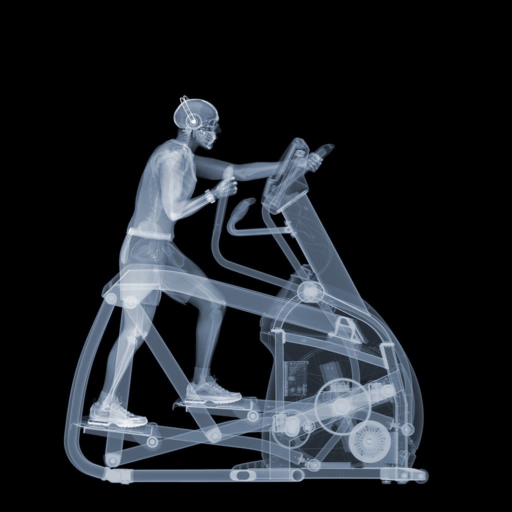 Gym Bunny, 2022 47 x 47 in., Ed. 9 33 x 33 in., Ed. 15 23 x 23 in., Ed. 25