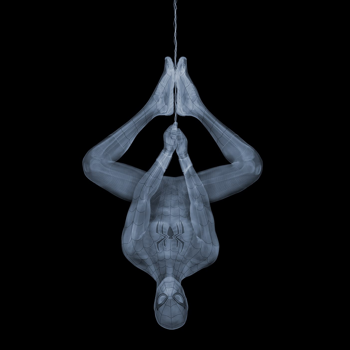 Spider-Man Hangin’, 2022 23 x 23 in., Ed. 25 33 x 33 in., Ed. 15 47 x 47 in., Ed. 9