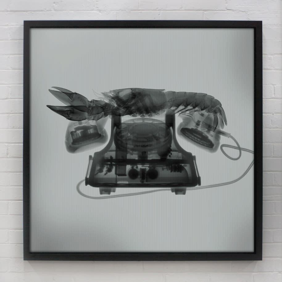 X-Dali - Black and White, 2022 23 x 23 in., Ed. 25 33 x 33 in., Ed. 15 47 x 47 in., Ed. 10