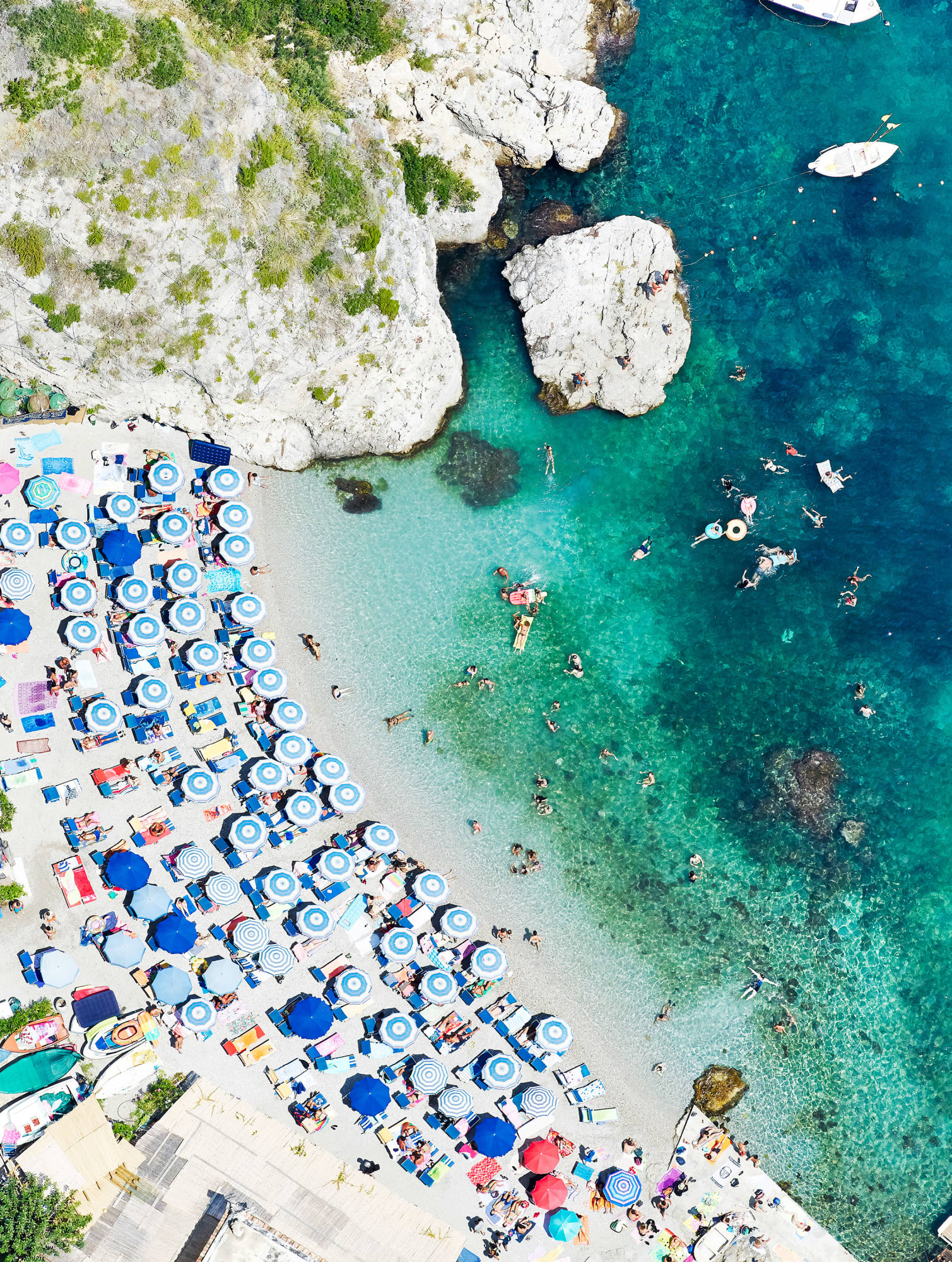 Shine On, 2019 40 x 30 in., Ed. 7 & 3AP 57 x 43 in., Ed. 7 & 3AP 77 x 58 in., Ed. 7 & 3AP 93 x 70 in., Ed. 4