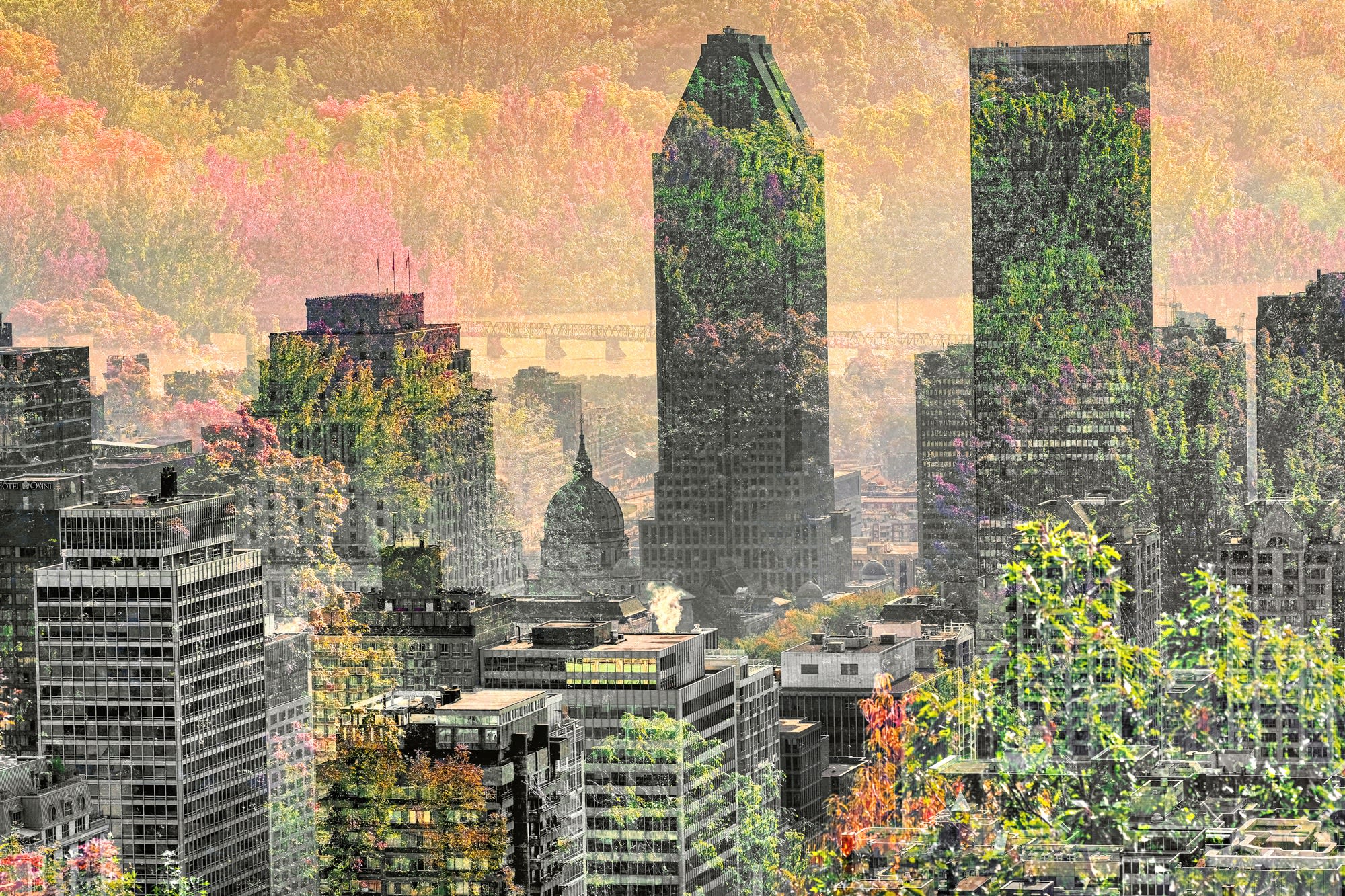 Alliance (Montreal, Canada), 2020 40 x 60 in., Ed. 5 48 x 72 in., Ed. 1