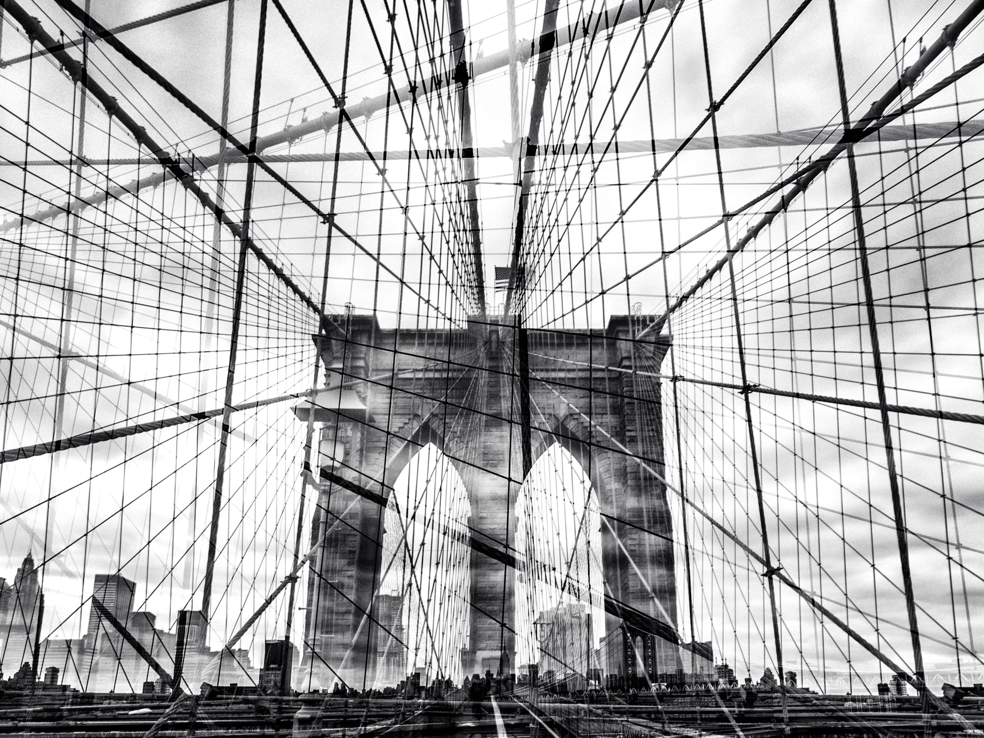 Web (New York, USA), 2014 40 x 54 in., Ed. 5 60 x 80 in., Ed. 1