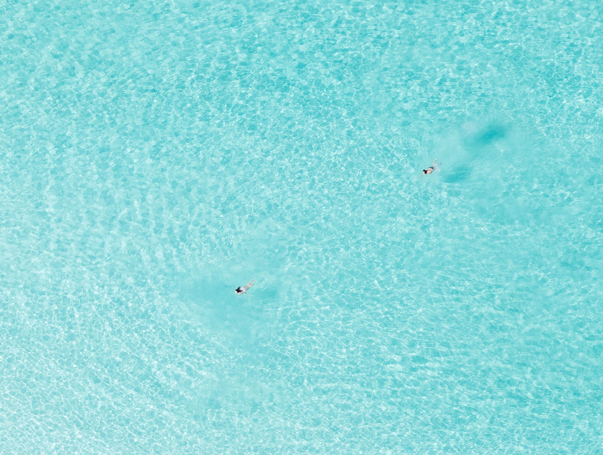 us alone, 2020 30 x 40 in., Ed. 7 43 x 57 in., Ed. 7 58 x 77 in., Ed. 7 70 x 93 in., Ed. 7