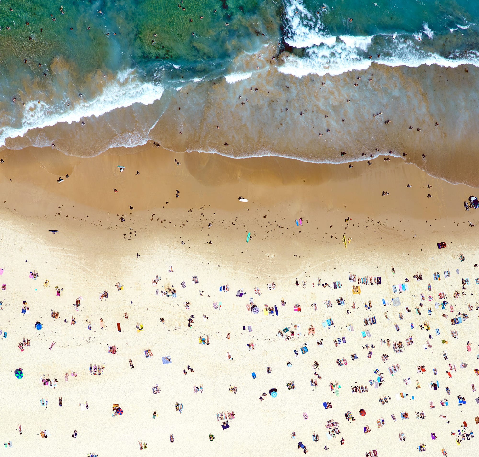 speckles of happiness, 2015 22 x 23 in. , Ed. 7 41 x 43 in., Ed. 7 55 x 58 in., Ed. 7