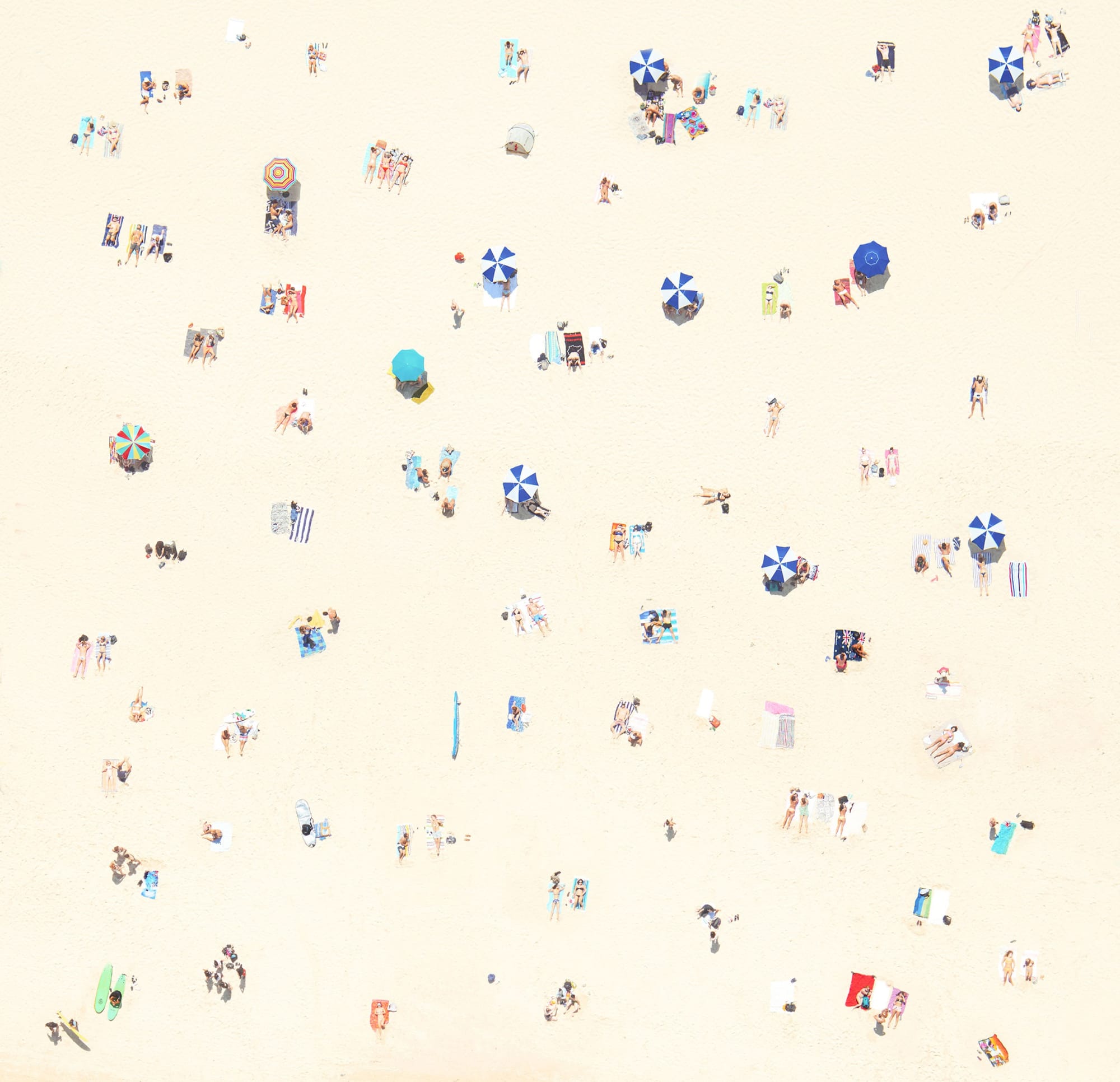 sydney sunbathers I, 2015 23 x 23 in. , Ed. 7 33 x 33 in., Ed. 7 43 x 43 in., Ed. 7