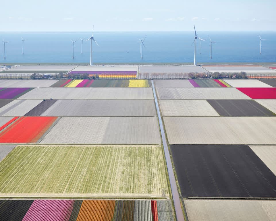 Tulips and Turbines 02, Noordoostpolder, Netherlands, 2016 21 x 26 in., Ed. 7 & 2AP 32 x 40 in., Ed. 7 & 2AP 44 x 55 in., Ed. 10 & 2AP 59 x 73 1/2 in., Ed. 5 & 2AP