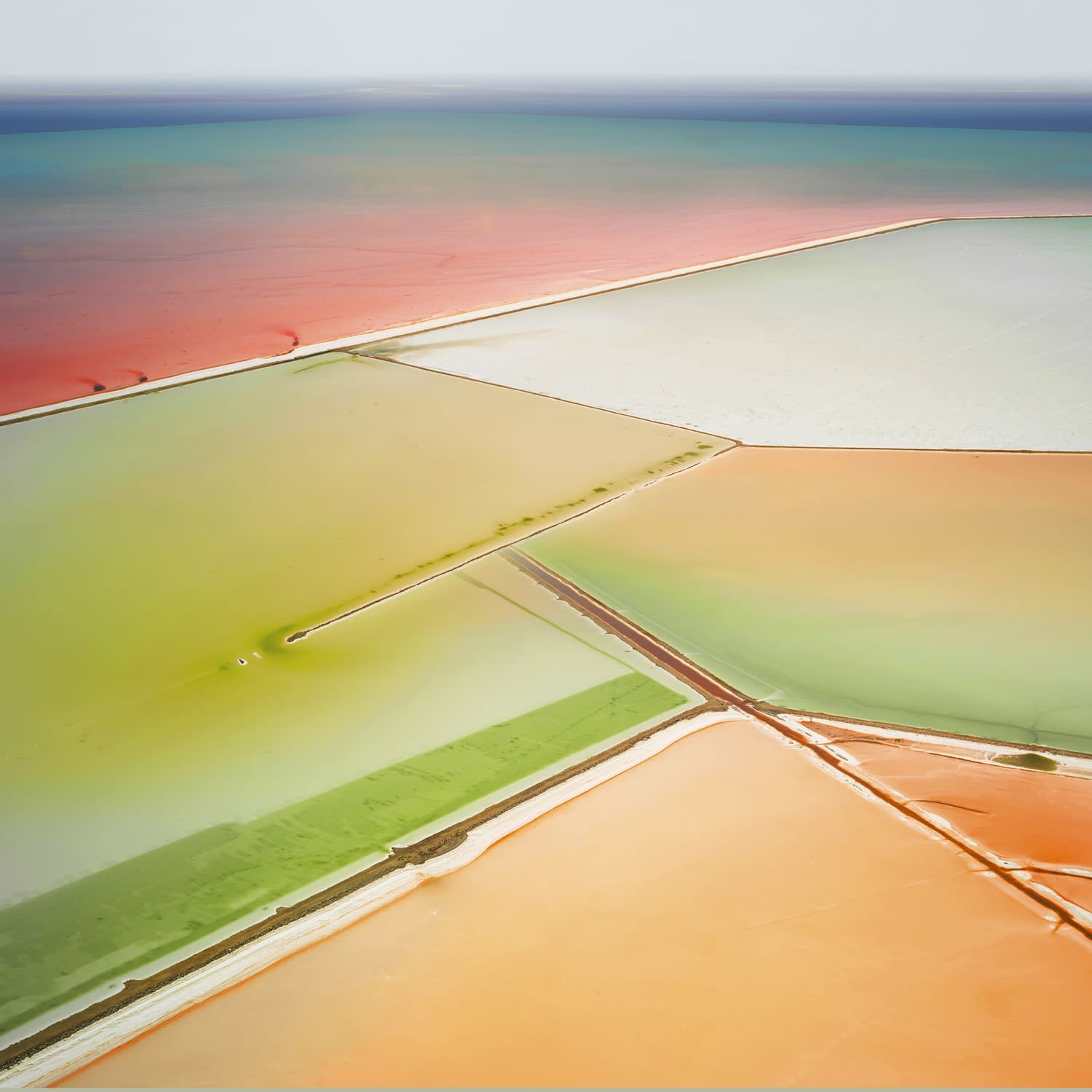 Saltern Study 06 Great Salt Lake, UT, 2015 21 x 21 in., Ed. 7 & 2AP 32 x 32 in., Ed. 7 & 2AP 44 x 44 in., Ed. 10 & 2AP 59 x 59 in., Ed. 5 & 2AP