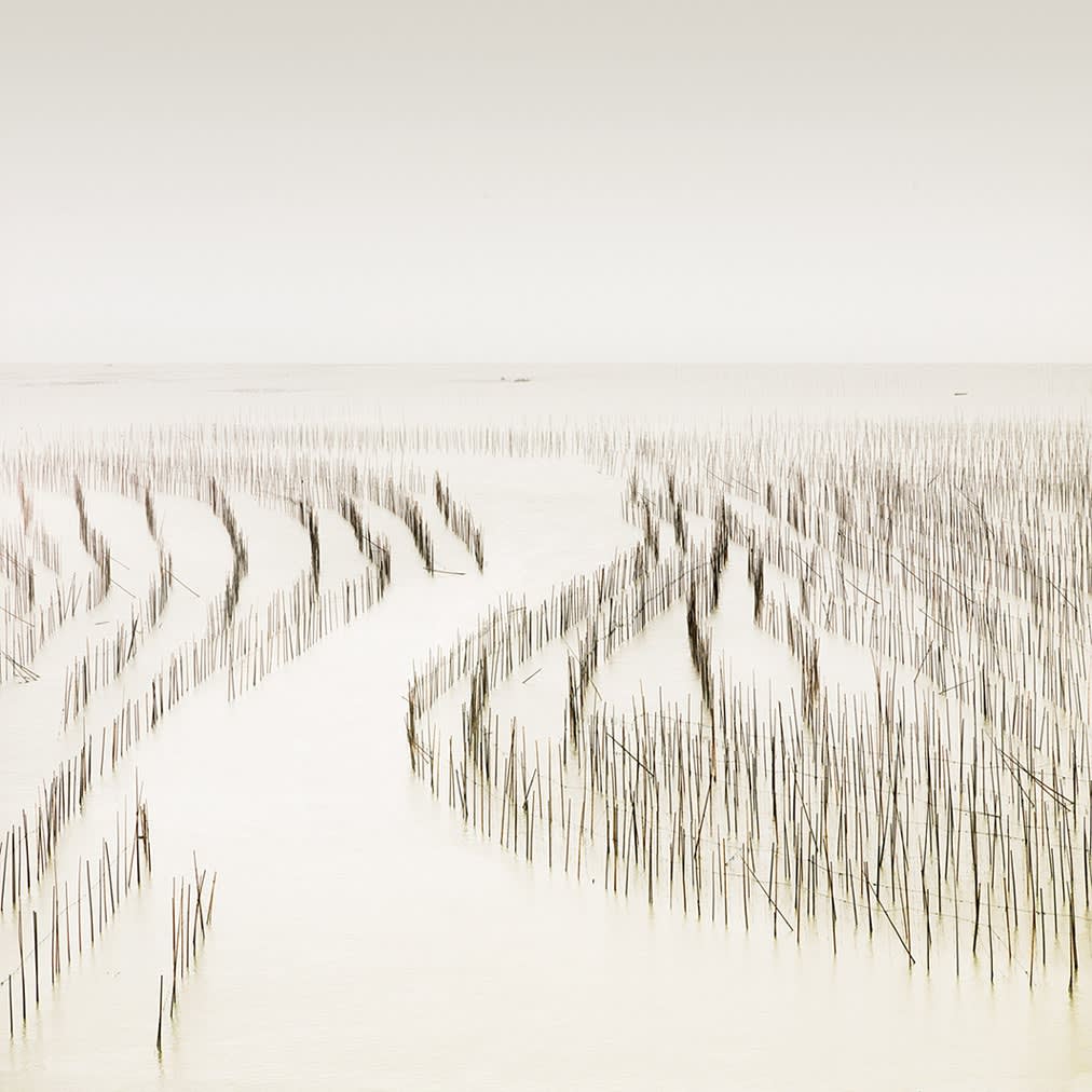 Channel Entrance, South China Sea, 2012 13 x 13 in., Ed. 4 & 2AP 21 x 21 in., Ed. 4 & 2AP 32 x 32 in., Ed. 7 & 2AP 44 x 44 in., Ed. 7 & 2AP 50 x 50 in. Ed. 3 & 2AP