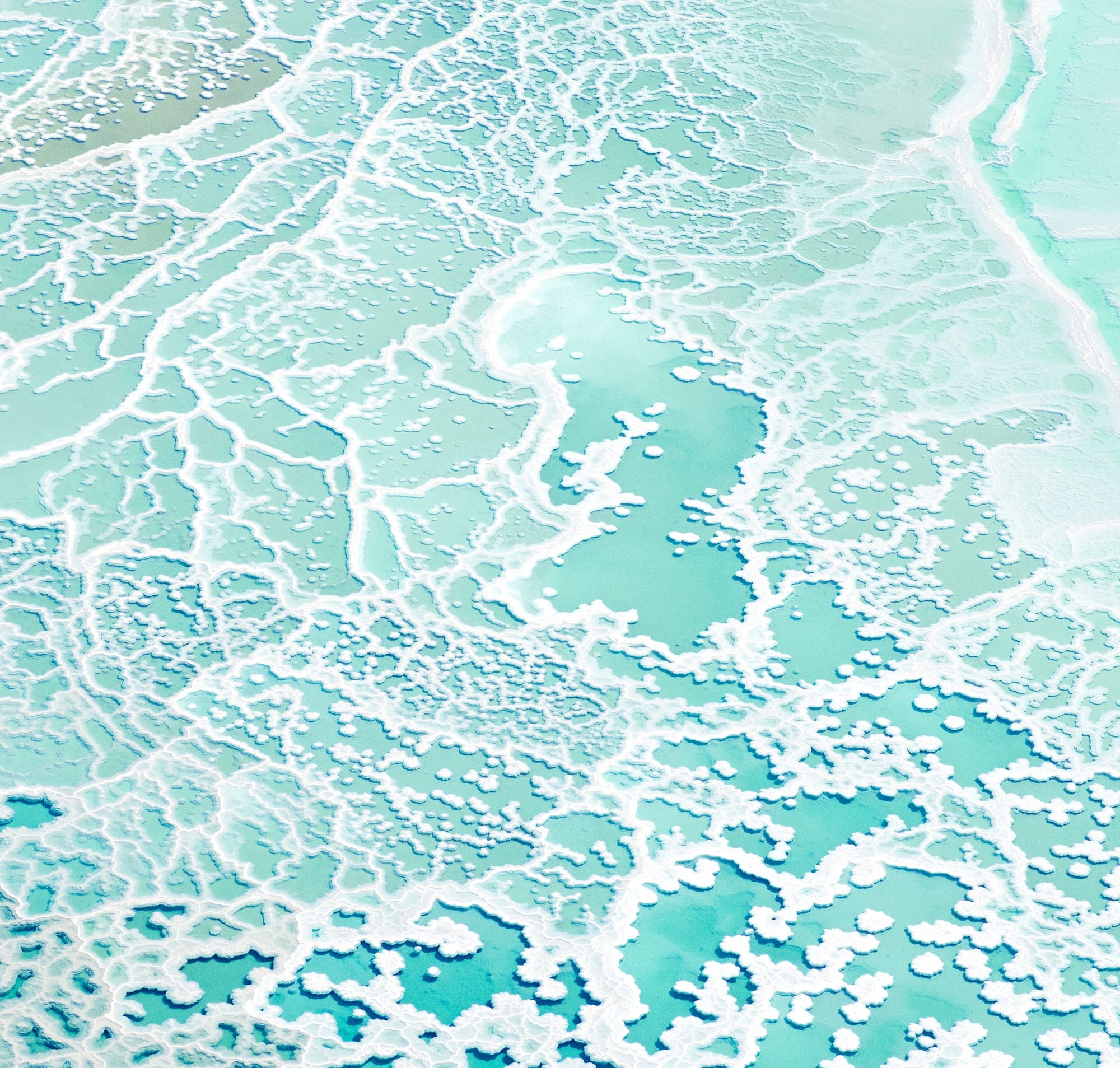 dead sea salts I, 2017 30 x 31 1/2 in. , Ed. 7 41 x 43 in., Ed. 7 55 x 58 in., Ed. 7