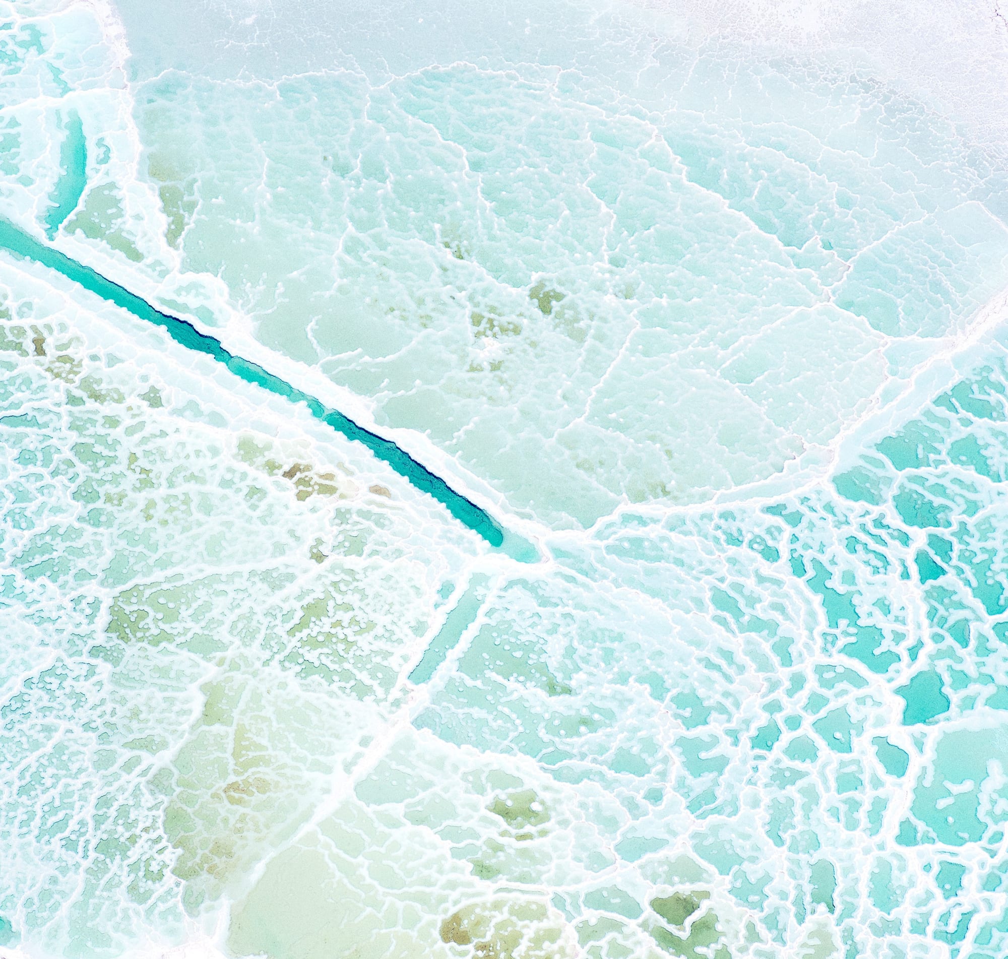 dead sea salts II, 2017 30 x 31 1/2 in. , Ed. 7 41 x 43 in., Ed. 7 55 x 58 in., Ed. 7