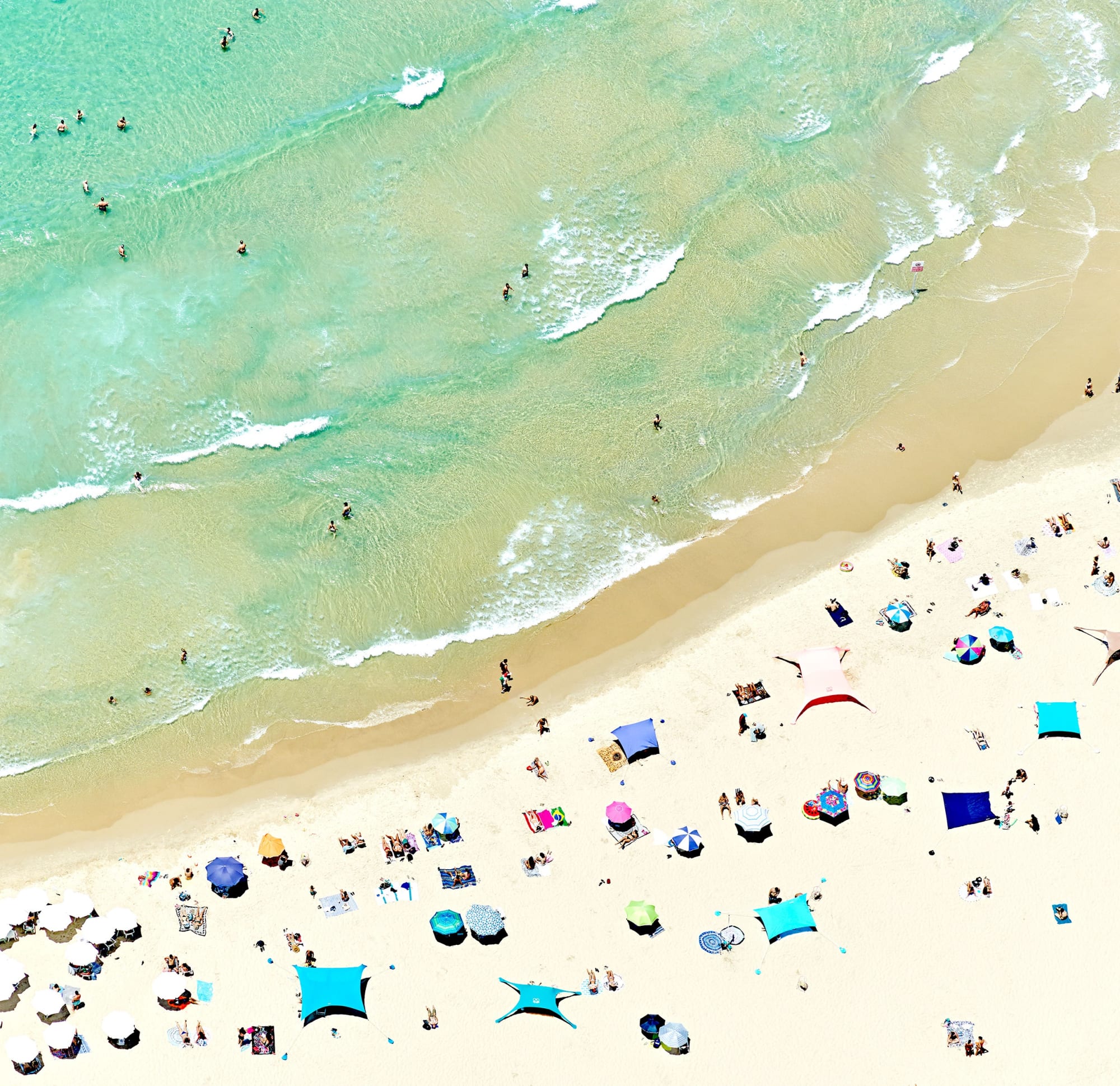 soaking in summer, 2017 30 x 31 1/2 in. , Ed. 7 41 x 43 in., Ed. 7 55 x 58 in., Ed. 7