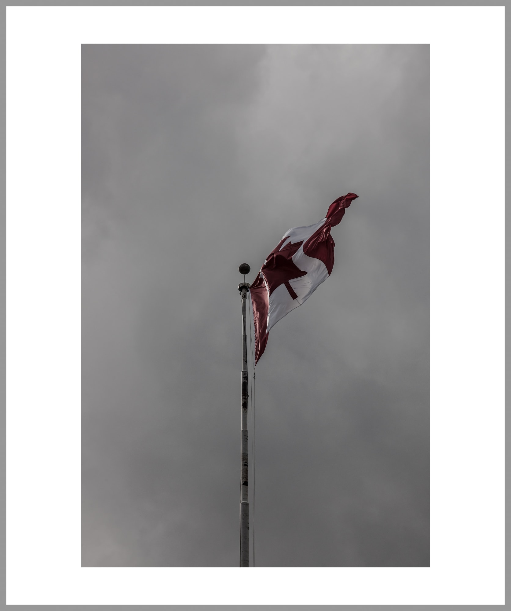 Made in Canada inv.5382, 2017 44 x 36 in., Ed. 15