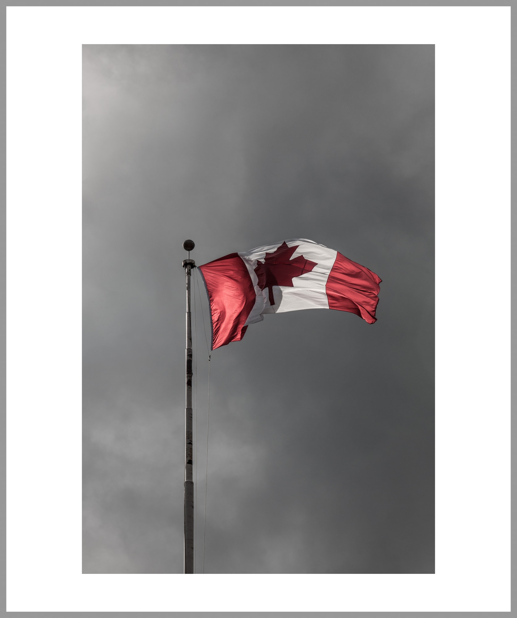 Made in Canada inv.5406, 2017 44 x 36 in., Ed. 15