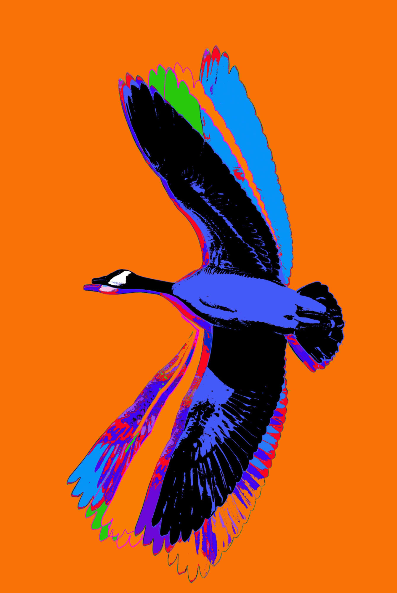 Flight (from Made in Canada part 2, Canada Goose - ORANGE) 190808, 2019 54 x 36 in., Ed. 15 & 3AP 72 x 48 in., Ed. 15 & 3AP