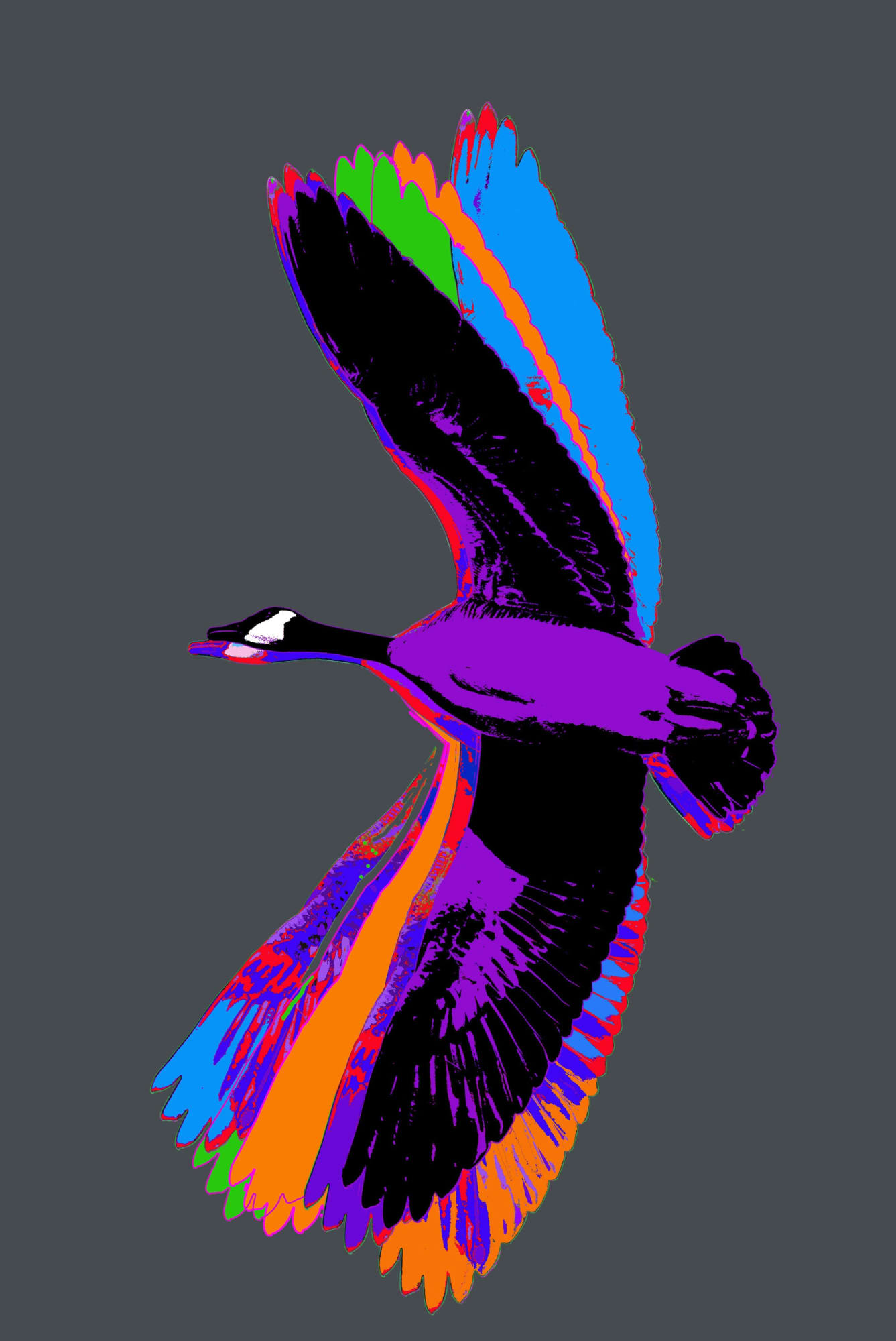 Flight (from Made in Canada part 2, Canada Goose - WARM grey) 190808, 2019 54 x 36 in., Ed. 15 & 3AP 72 x 48 in., Ed. 15 & 3AP