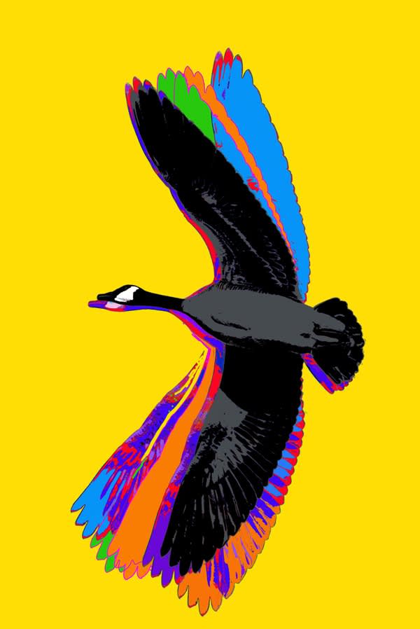 Flight (from Made in Canada part 2, Canada Goose - Yellow) 190808, 2019 54 x 36 in., Ed. 15 & 3AP 72 x 48 in., Ed. 15 & 3AP