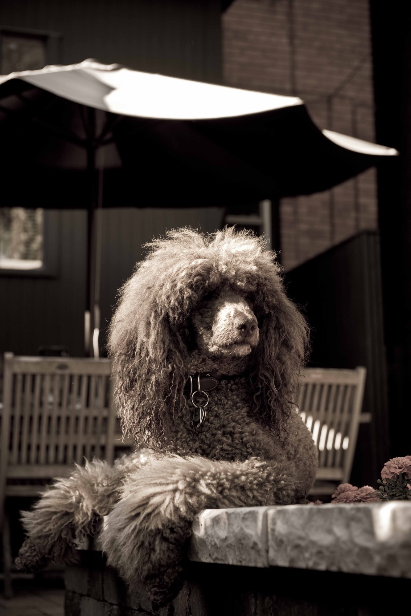 Michael, 2015 24 x 20 in., Ed. 15