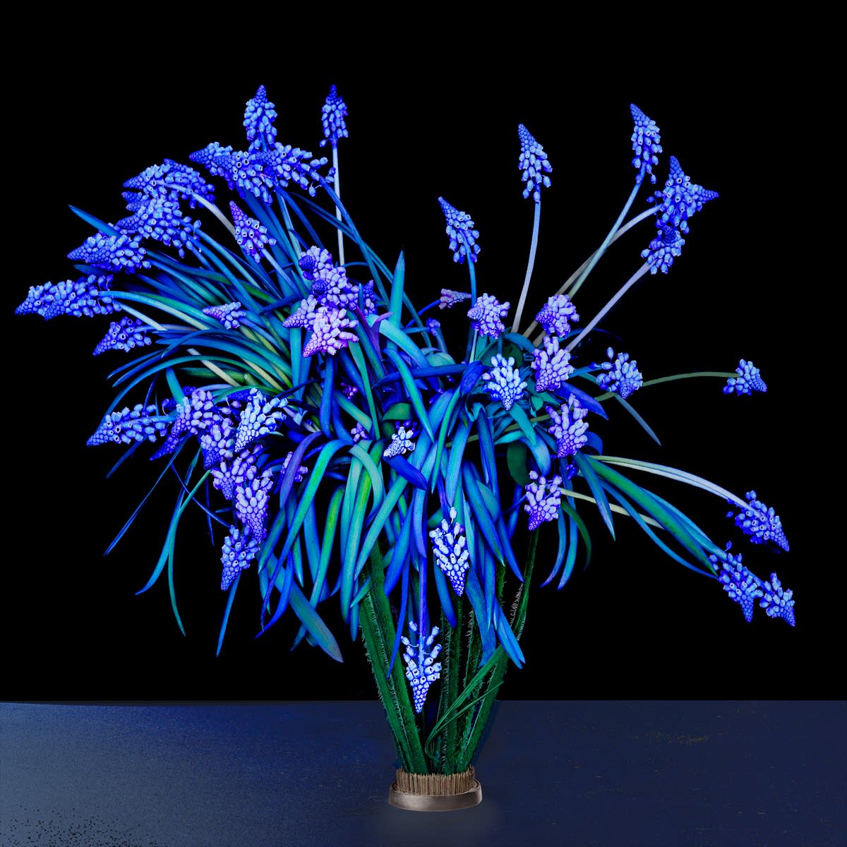 grape hyacinth, 2025 30 x 30 in., Ed. 10 & 2 AP 42 x 42 in., Ed. 10 & 2 AP 52 x 52 in., Ed. 10 & 2 AP 58 x 58 in., Ed. 10 & 2 AP