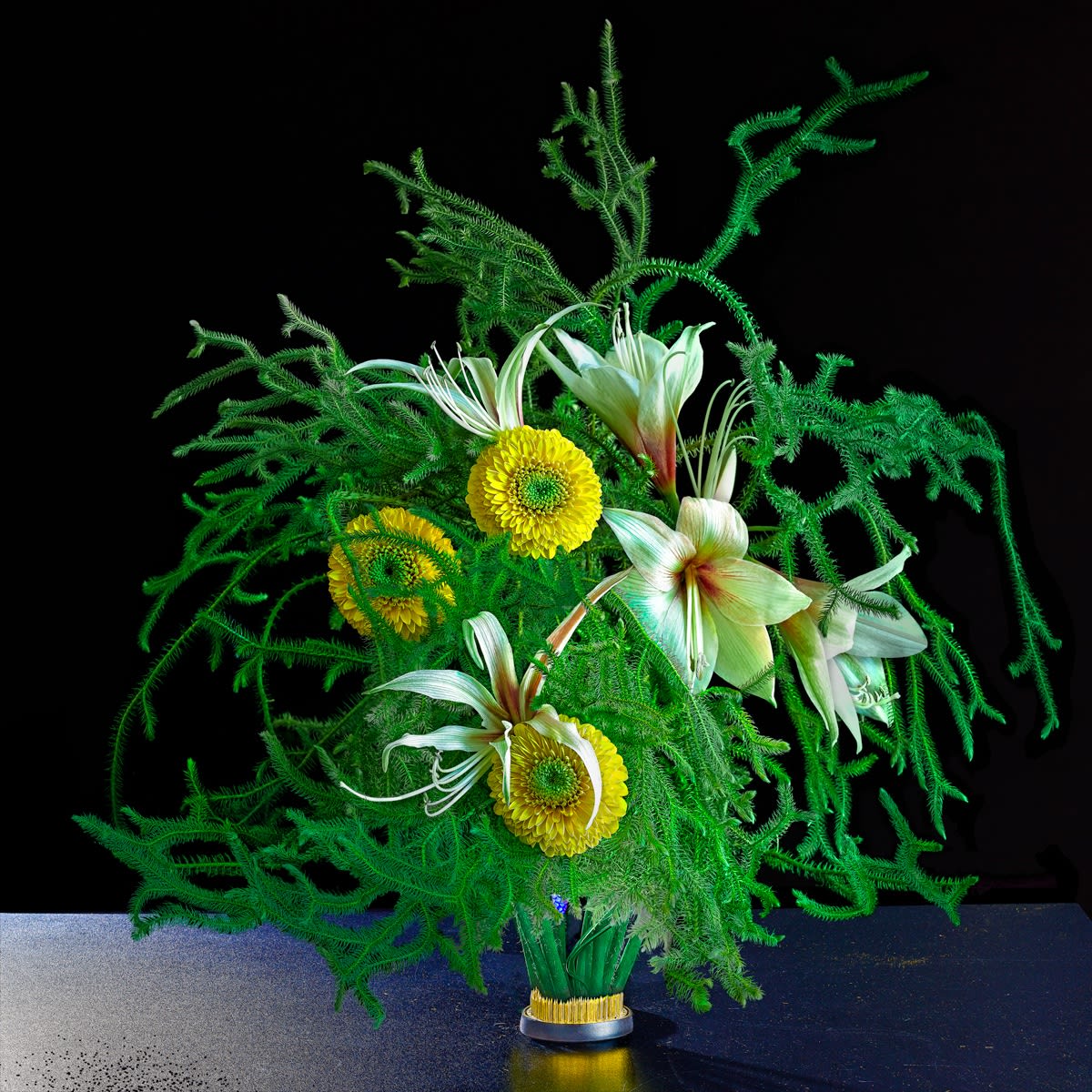 lycopodi, 2025 30 x 30 in., Ed. 10 & 2 AP 42 x 42 in., Ed. 10 & 2 AP 52 x 52 in., Ed. 10 & 2 AP 58 x 58 in., Ed. 10 & 2 AP