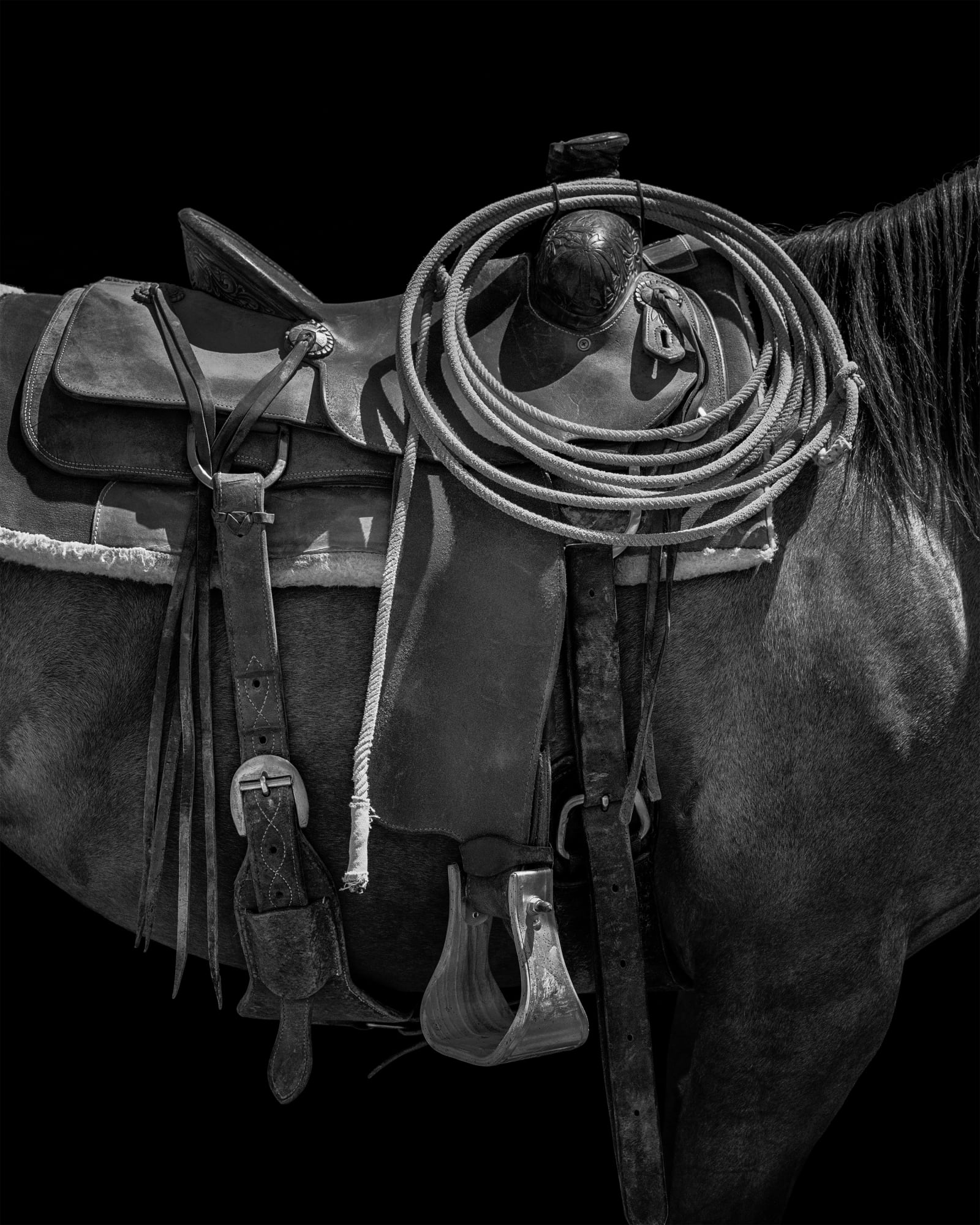 Leather & Steel, 2023 40 x 32 in., Ed. 10 60 x 48 in., Ed. 10 75 x 60 in., Ed. 10