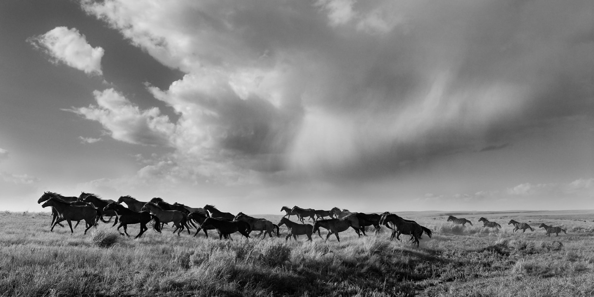 The Sound of Thunder, 2024 20 x 40 in., Ed. 10 30 x 60 in., Ed. 10 40 x 80 in., Ed. 10