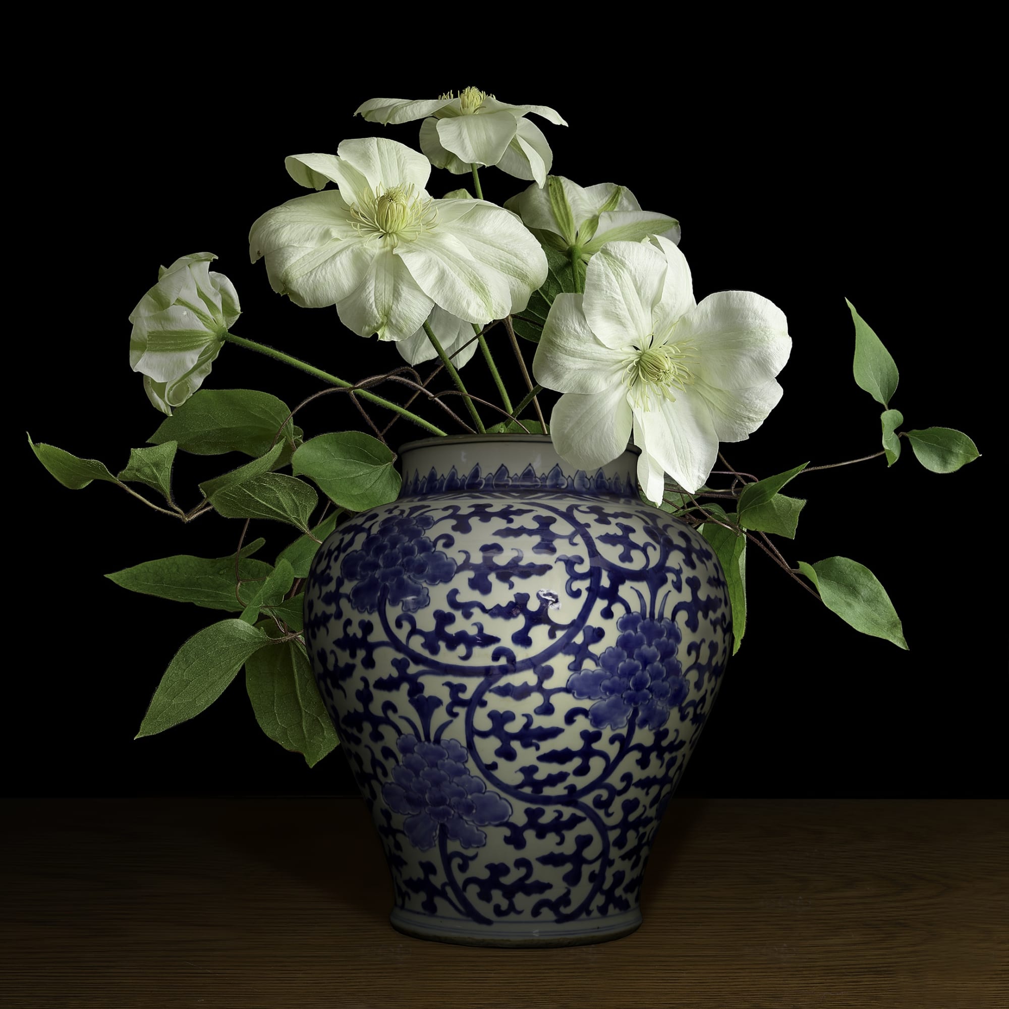White Clematis in a Blue and White Chinese Vase, 2021 30 x 30 in., Ed. 10 & 2 AP 42 x 42 in., Ed. 10 & 2 AP 52 x 52 in., Ed. 10 & 2 AP 58 x 58 in., Ed. 10 & 2 AP