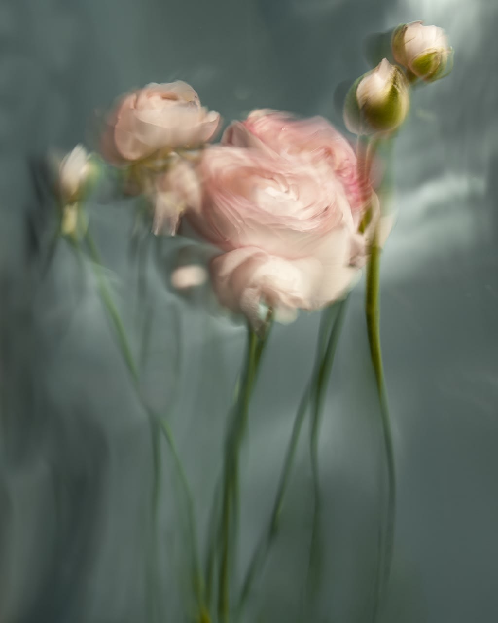 Camille, 2021 40 x 32 in., Ed. 8 & 2AP 54 x 43 in., Ed. 8 & 2AP 64 x 51 in., Ed. 8 & 2AP