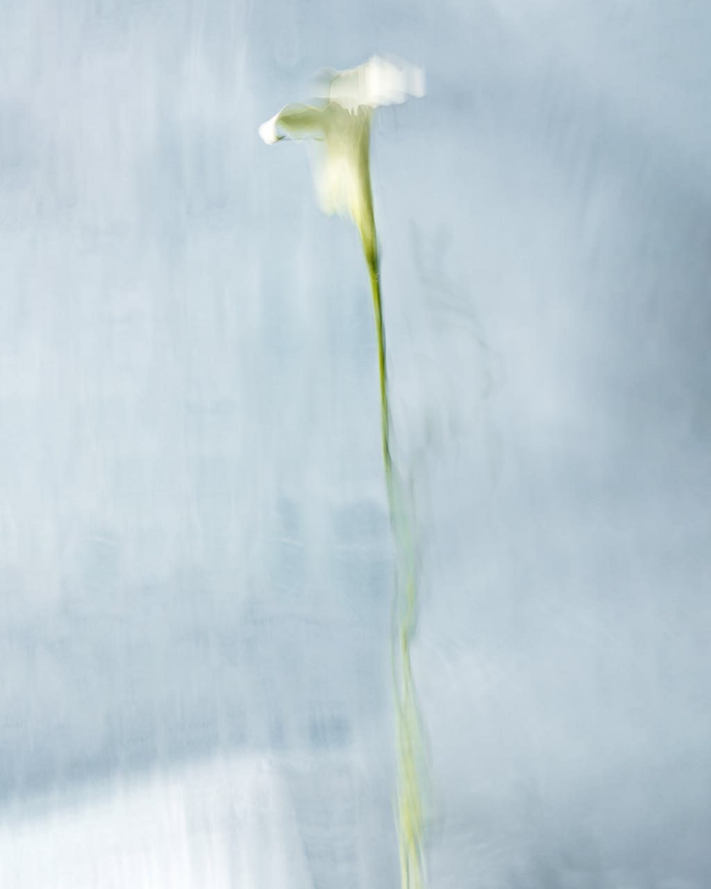 Lillian, 2020 40 x 32 in., Ed. 8 & 2AP 54 x 43 in., Ed. 8 & 2AP 64 x 51 in., Ed. 8 & 2AP