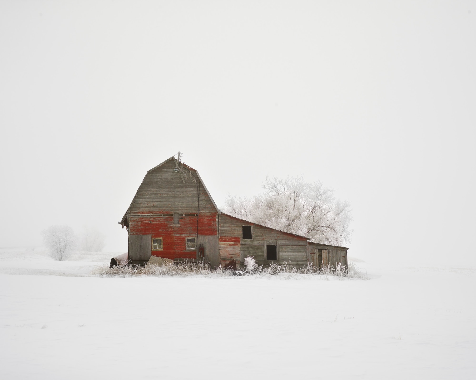 Barn with Hoarfrost, Saskatchewan, CA, 2020 21 x 26 in., Ed. 7 & 2 AP 32 x 40 in., Ed. 7 & 2 AP 44 x 55 in. Ed. 10 & 2 AP 59 x 73 1/2 in., Ed. 5 & 2 AP