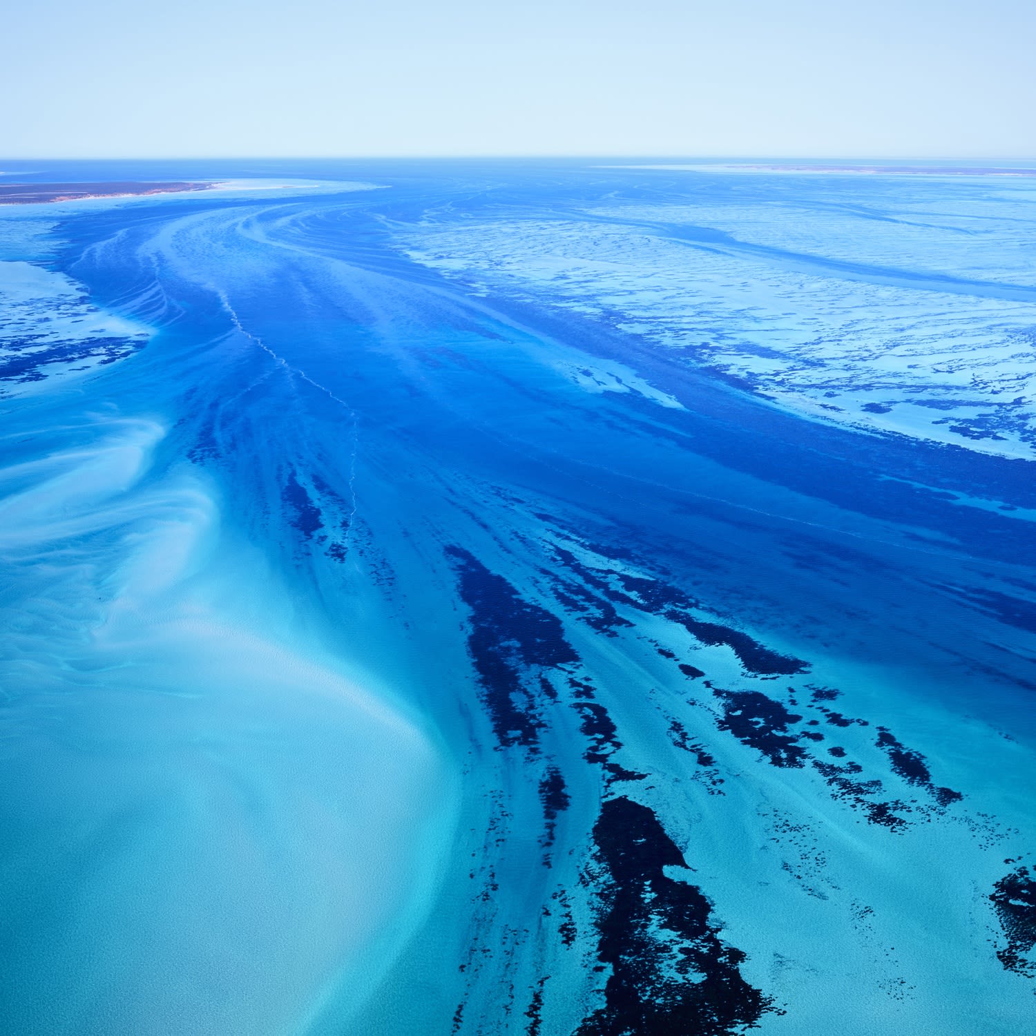 Shark Bay (Square 1), Australia, 2016 21 x 21 in., Ed. 7 & 2AP 32 x 32 in., Ed. 7 & 2AP 44 x 44 in., Ed. 10 & 2AP 59 x 59 in., Ed. 5 & 2AP