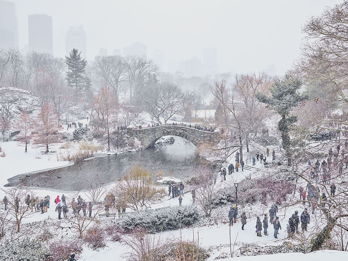 December Snow, Central Park, New York, NY, 2017 21 x 26 in., Ed. 7 & 2AP 32 x 40 in., Ed. 7 & 2AP 44 x 55 in., Ed. 10 & 2AP 59 x 73 1/2 in., Ed. 5 & 2AP
