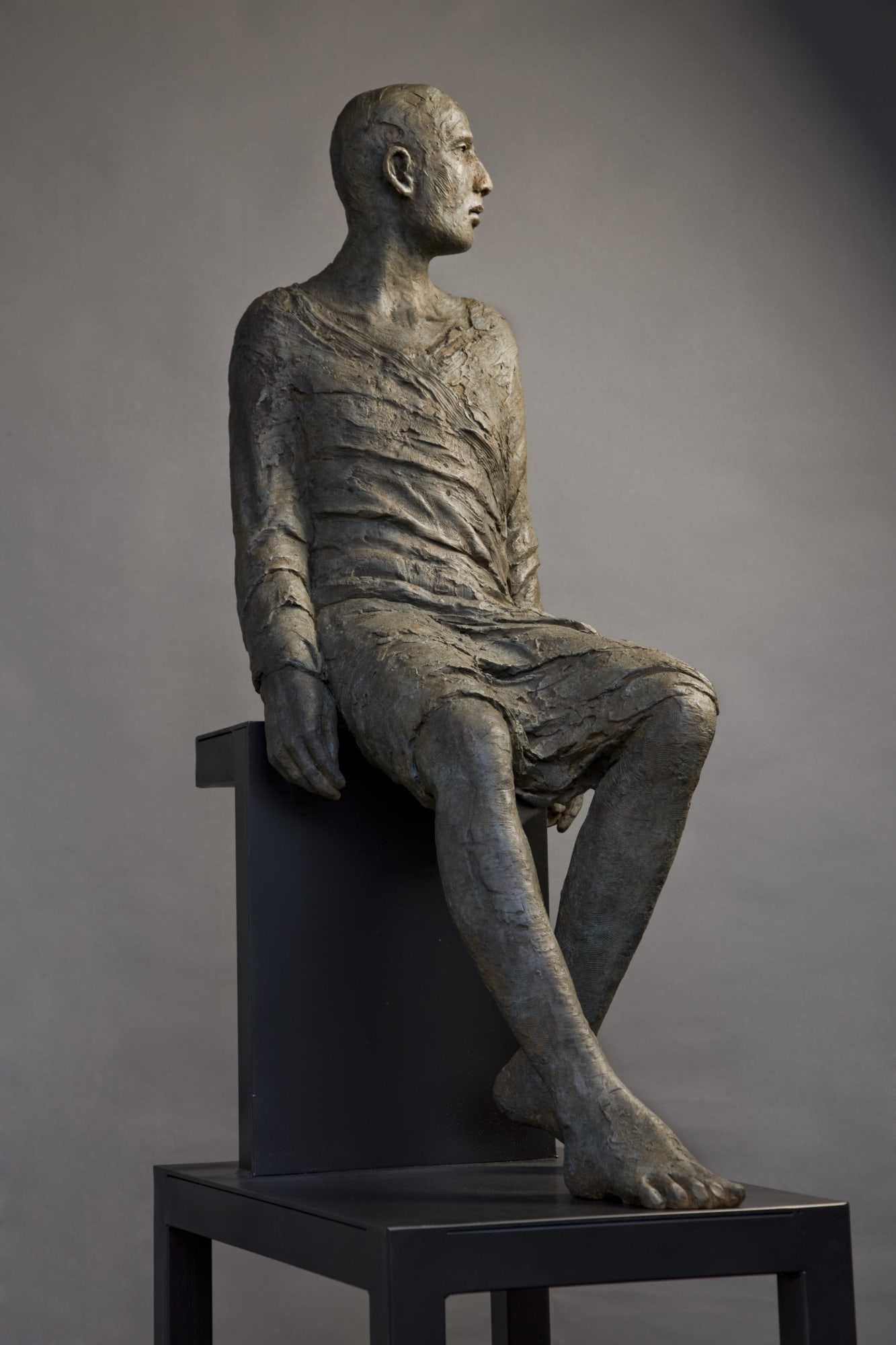 Bronze #108, 2011 39 3/8 x 14 5/8 x 22 in., Ed. 8