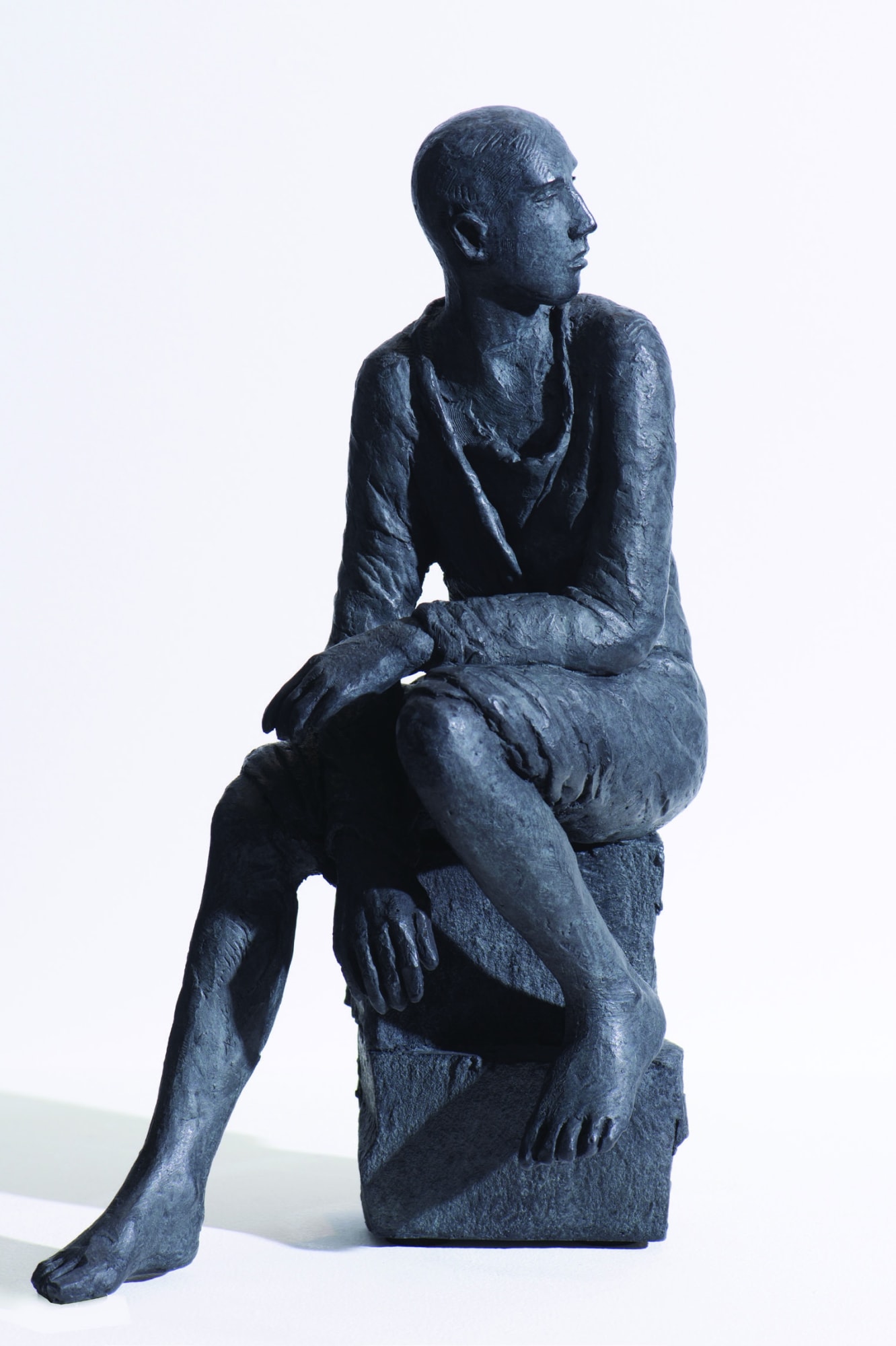 Bronze #132, 2016 14 1/5 x 9 x 5 1/2 in., Ed. 50