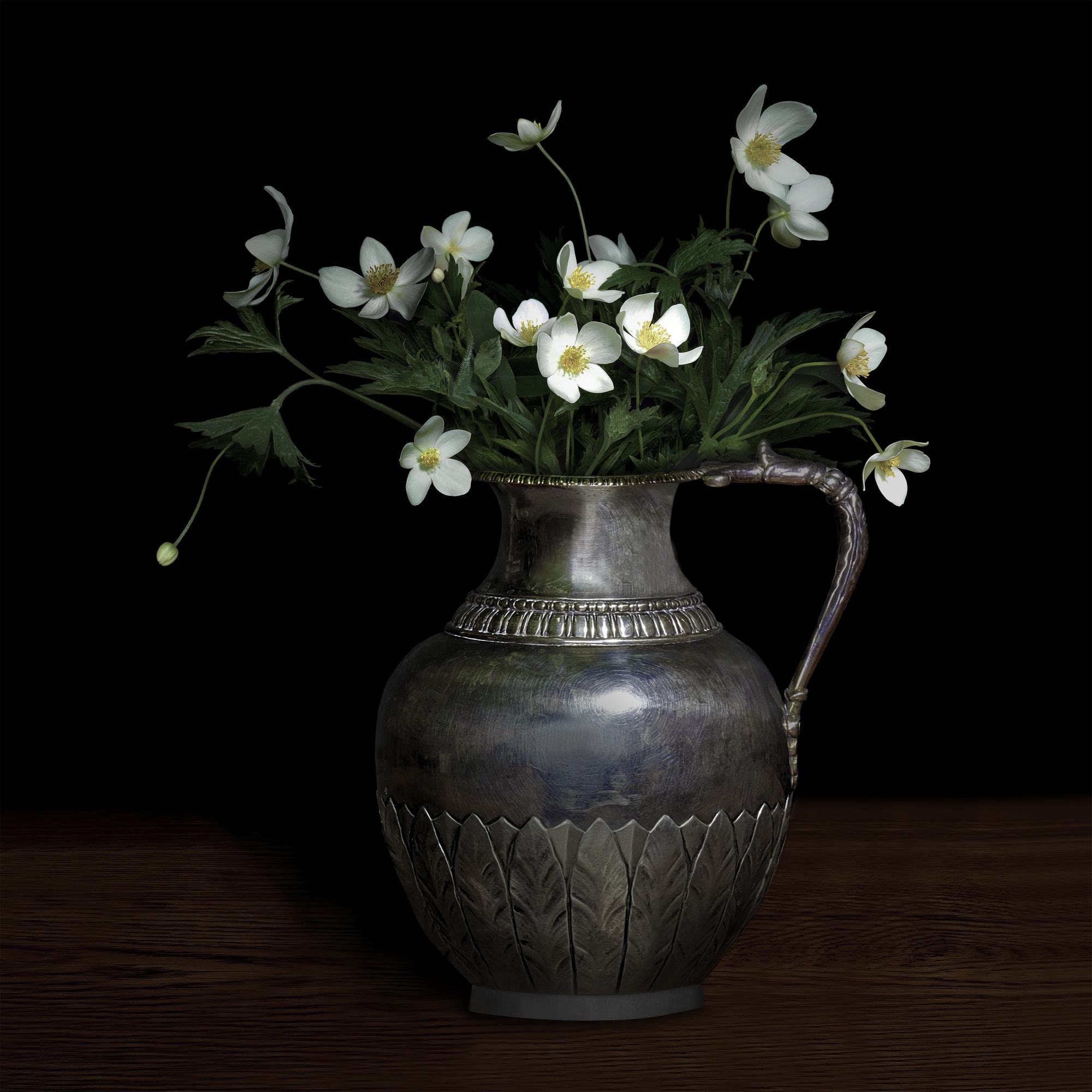 anemone canadensis in a silver jug, 2018 42 x 42 in., Ed. 10 & 2 AP 52 x 52 in., Ed. 10 & 2 AP 58 x 58 in., Ed. 10 & 2 AP