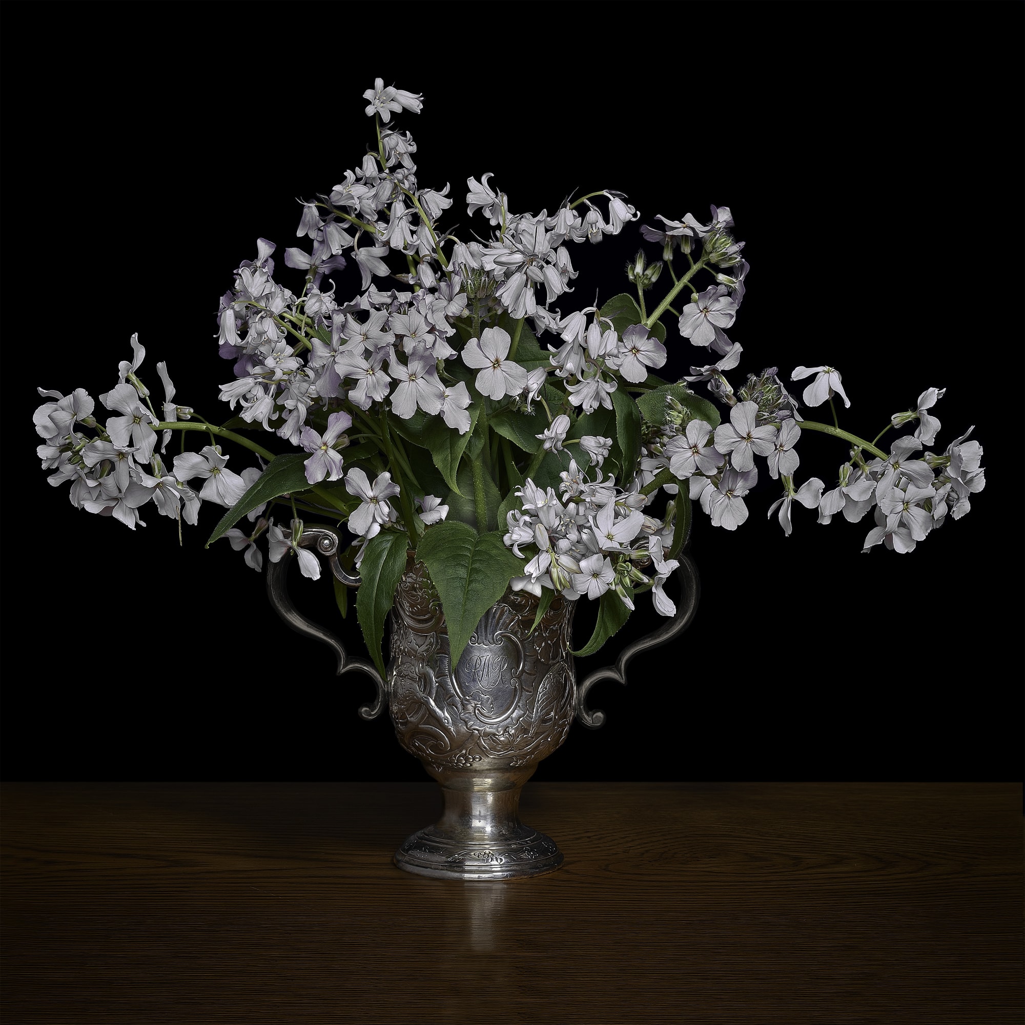Woodland Scilla and Phlox in a Silver Cup, 2019 42 x 42 in., Ed. 10 & 2 AP 52 x 52 in., Ed. 10 & 2 AP 58 x 58 in., Ed. 10 & 2 AP