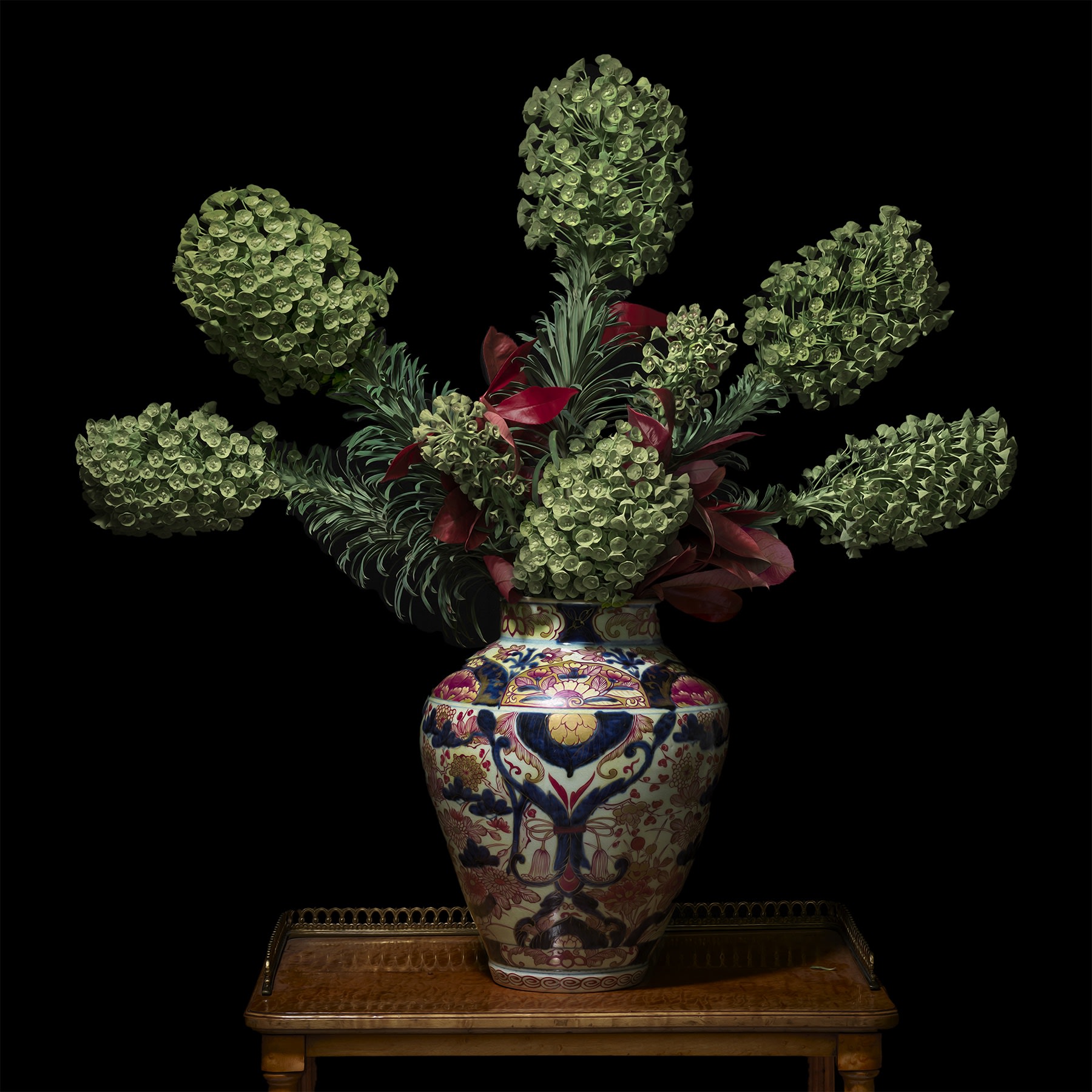 Euphorbia in a Japanese Imari Vessel, 2018 42 x 42 in., Ed. 10 & 2 AP 52 x 52 in., Ed. 10 & 2 AP 58 x 58 in., Ed. 10 & 2 AP