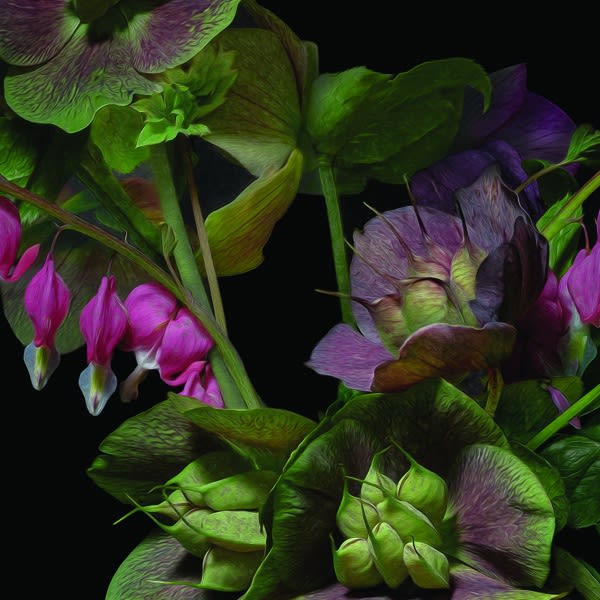 Hellebores & Bleeding Heart, 2019 18 x 18 in., Ed. 10 & 2 AP